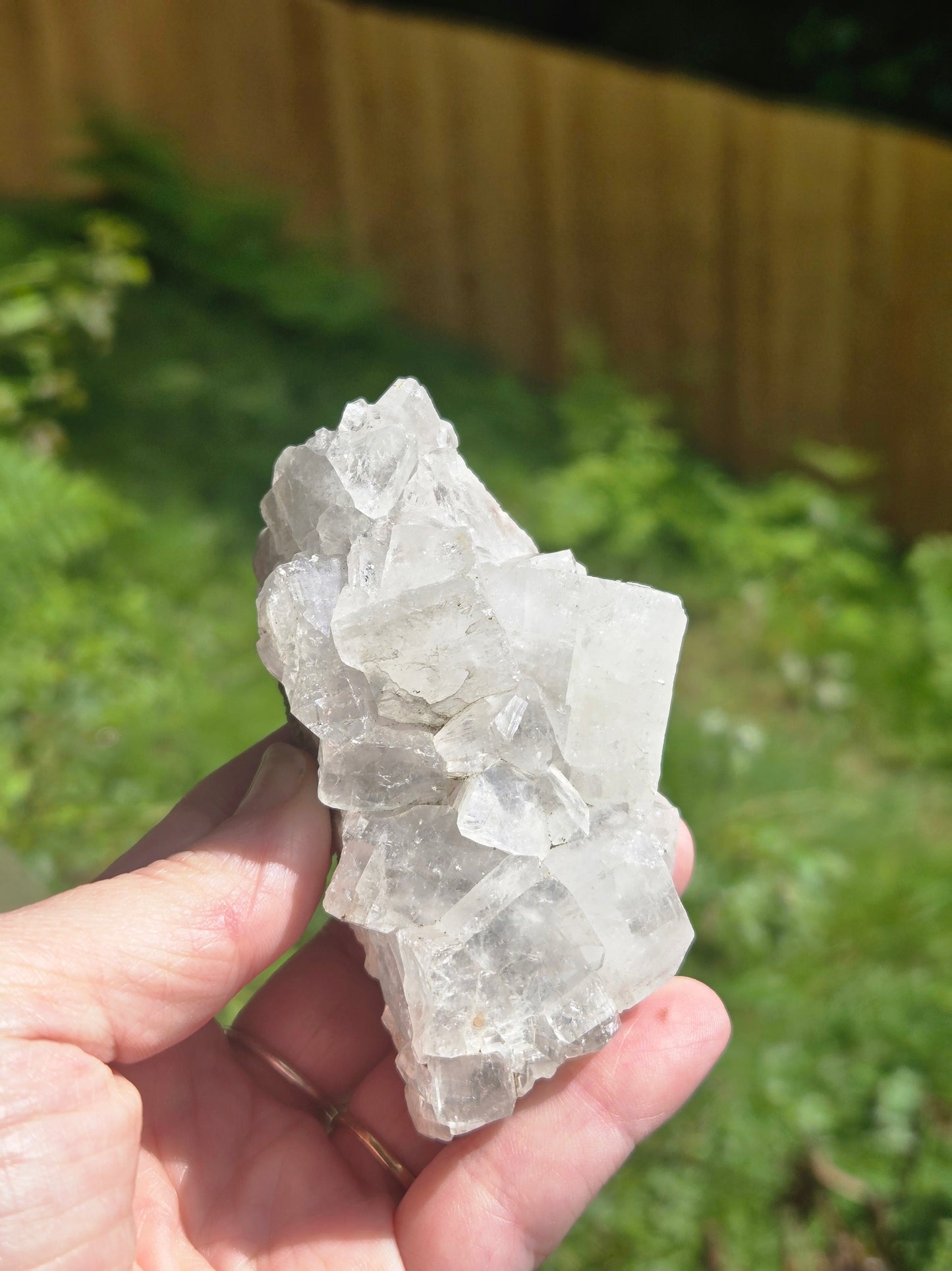 Apopholite Large
