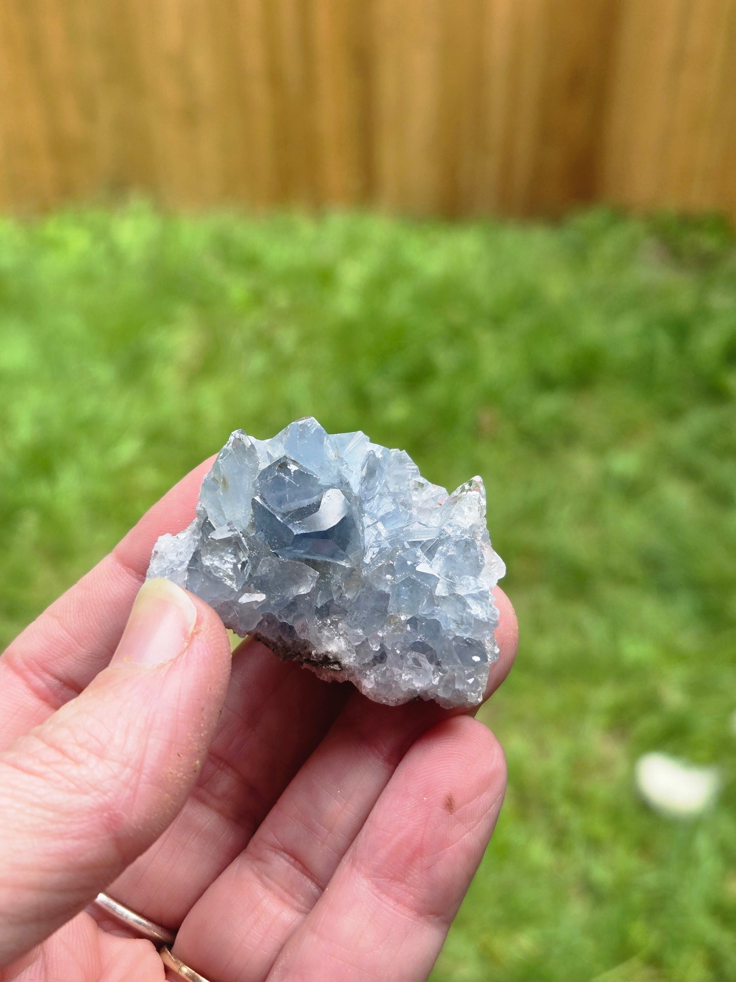 Blue Celestite
