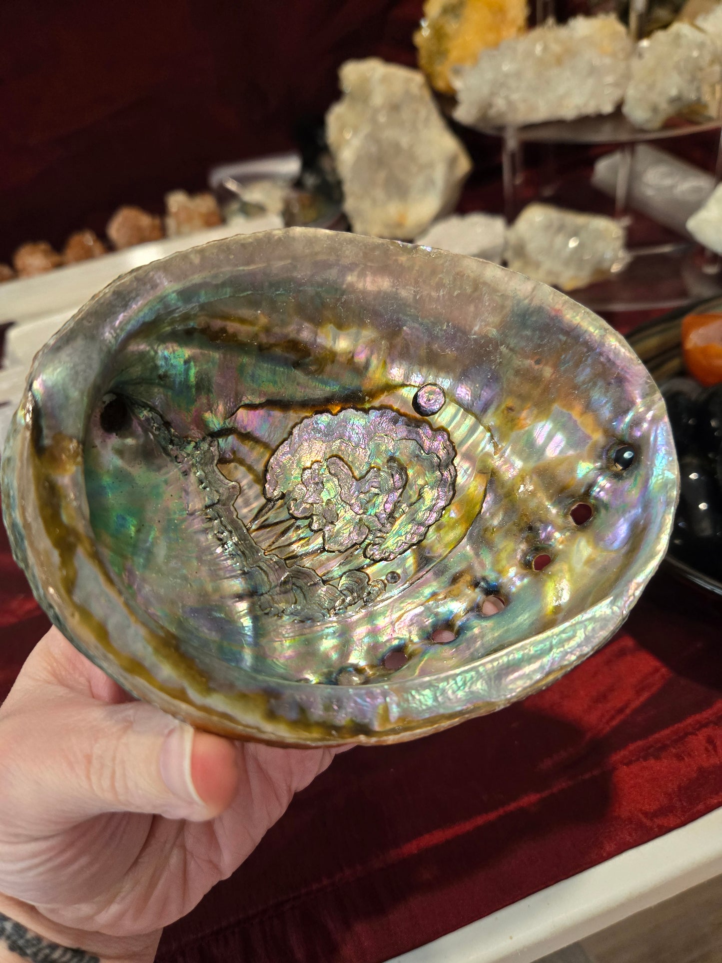 Abalone Shell Bowls