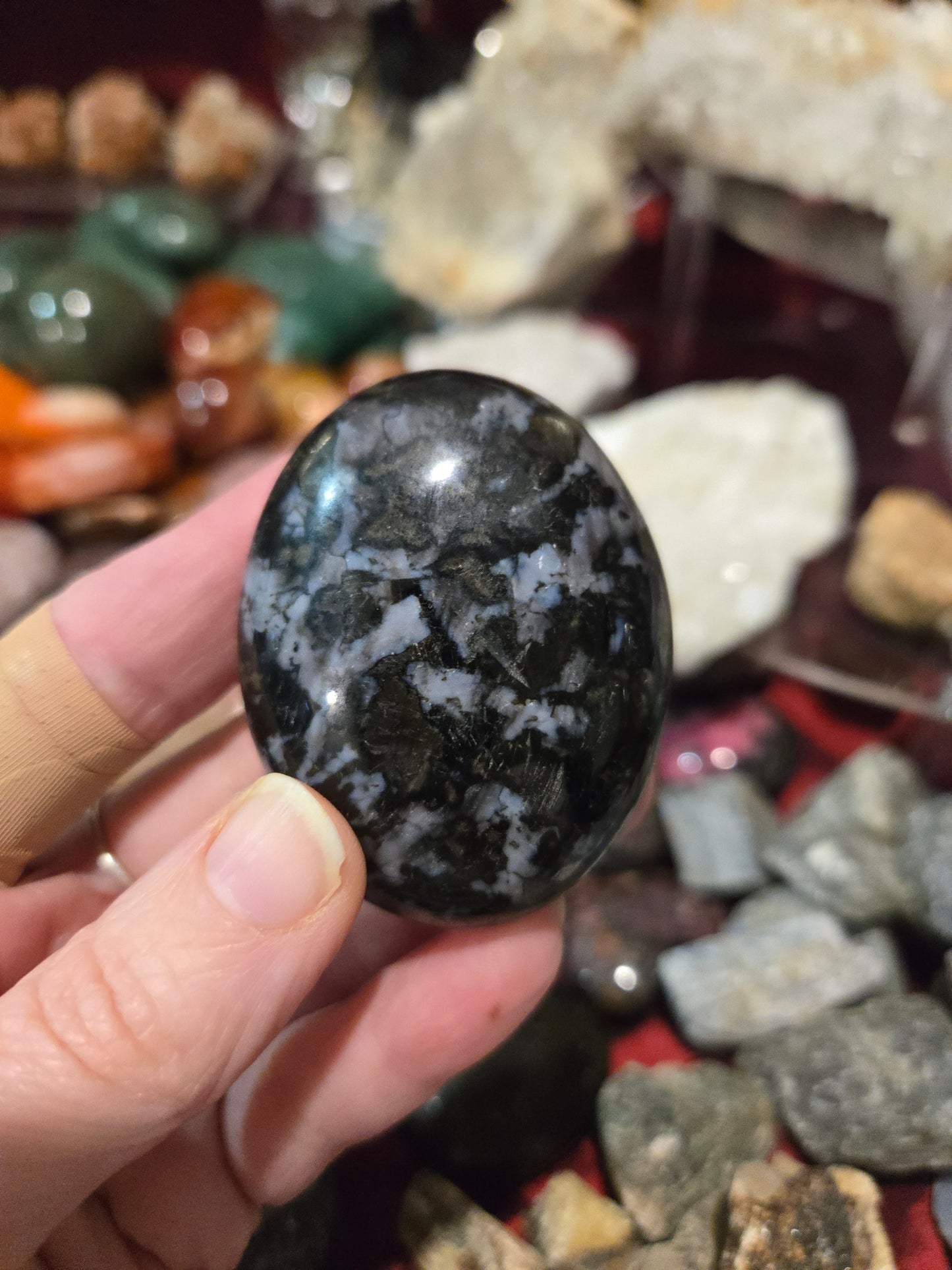 Indigo Gabbro