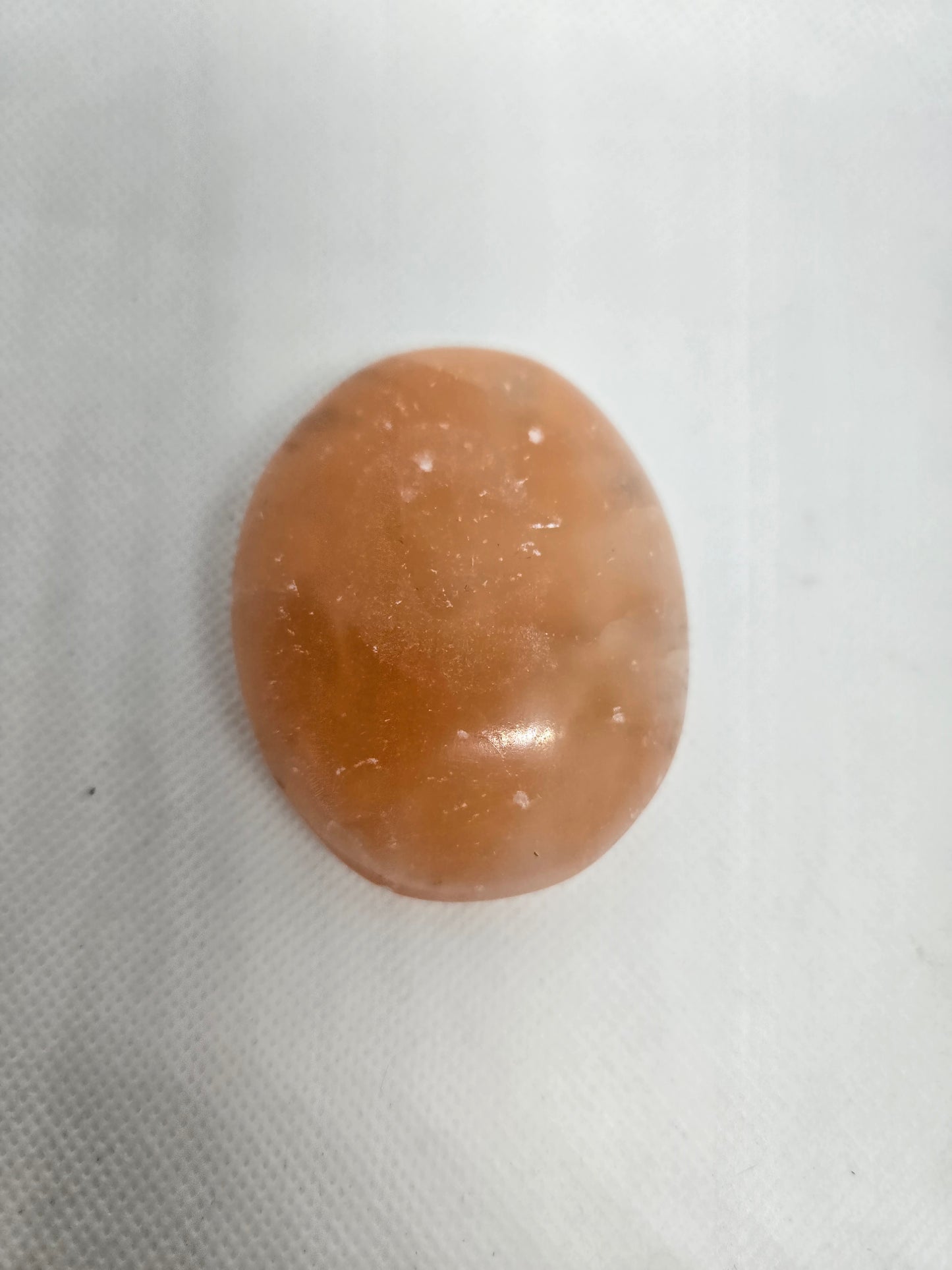 Pick Your Palm from the Garden