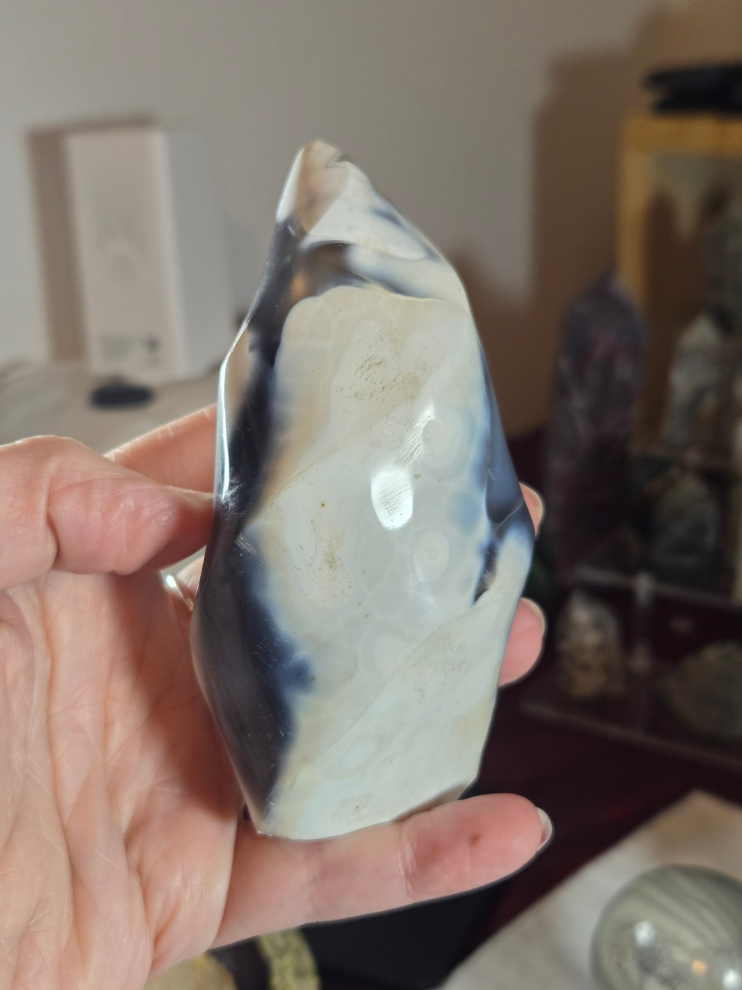Orca Agate