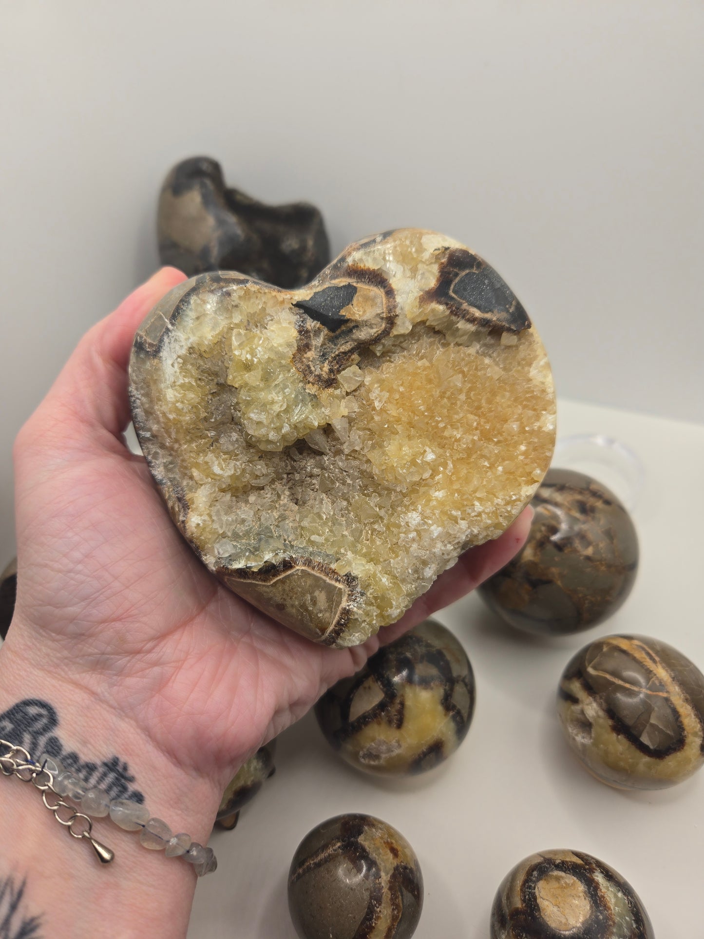 Septarian Collection