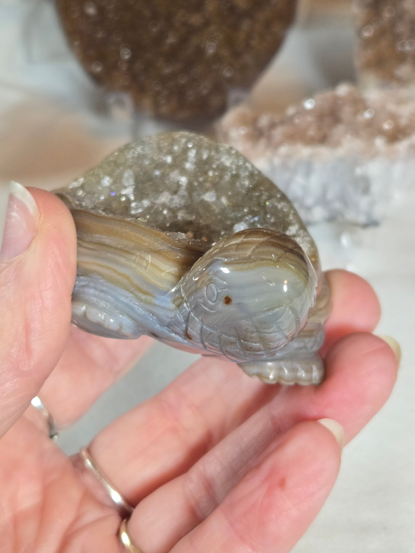 Veracruz Amethyst