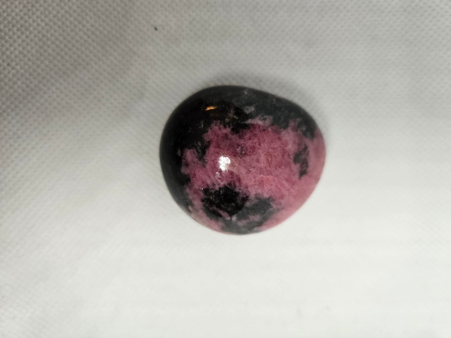 Pick Your Palm from the Garden