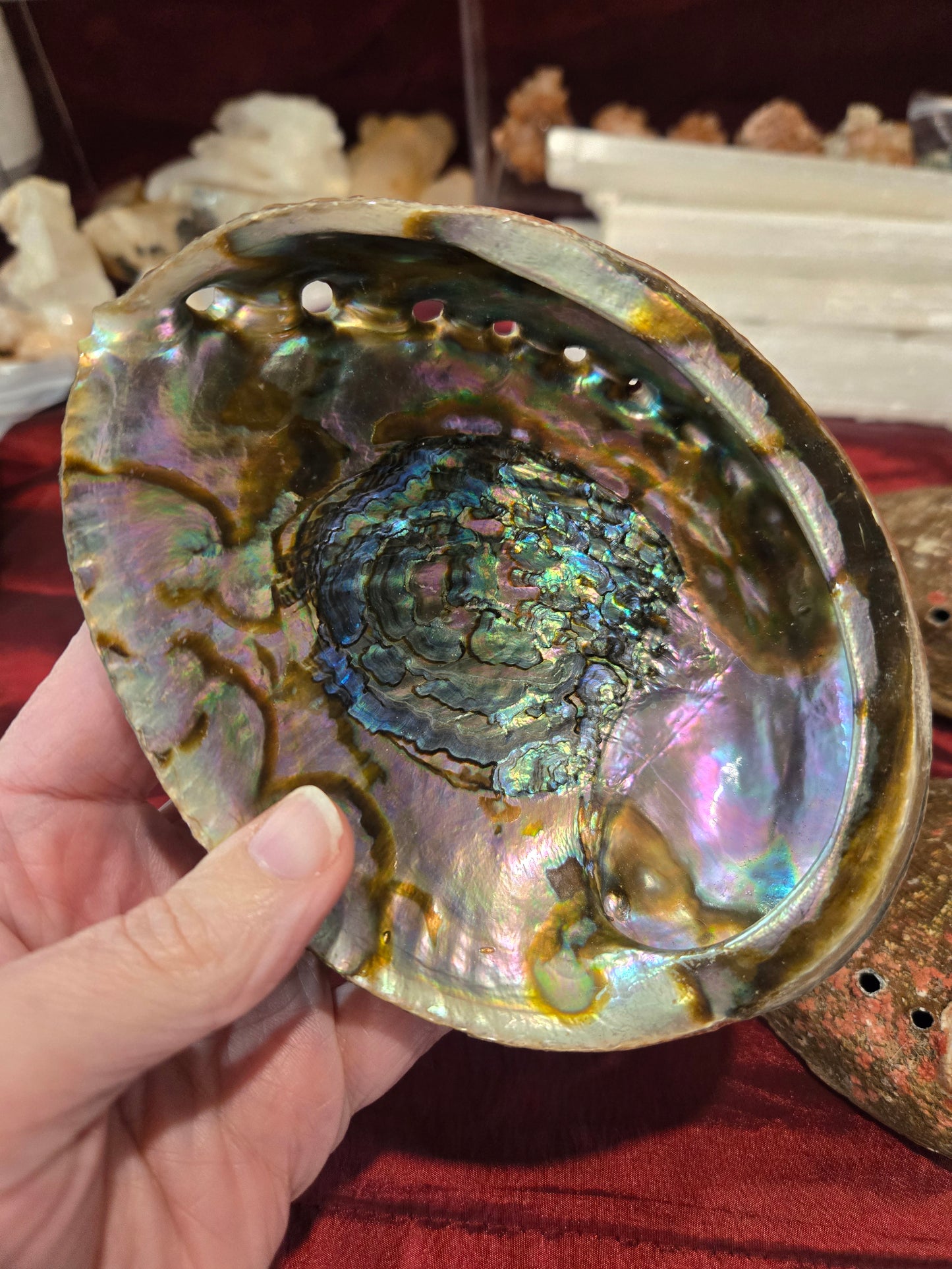 Abalone Shell Bowls