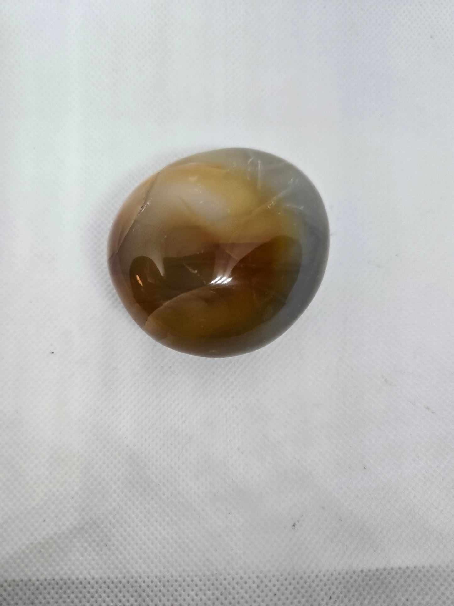 Pick Your Palm from the Garden