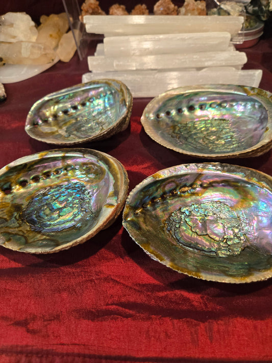 Abalone Shell Bowls