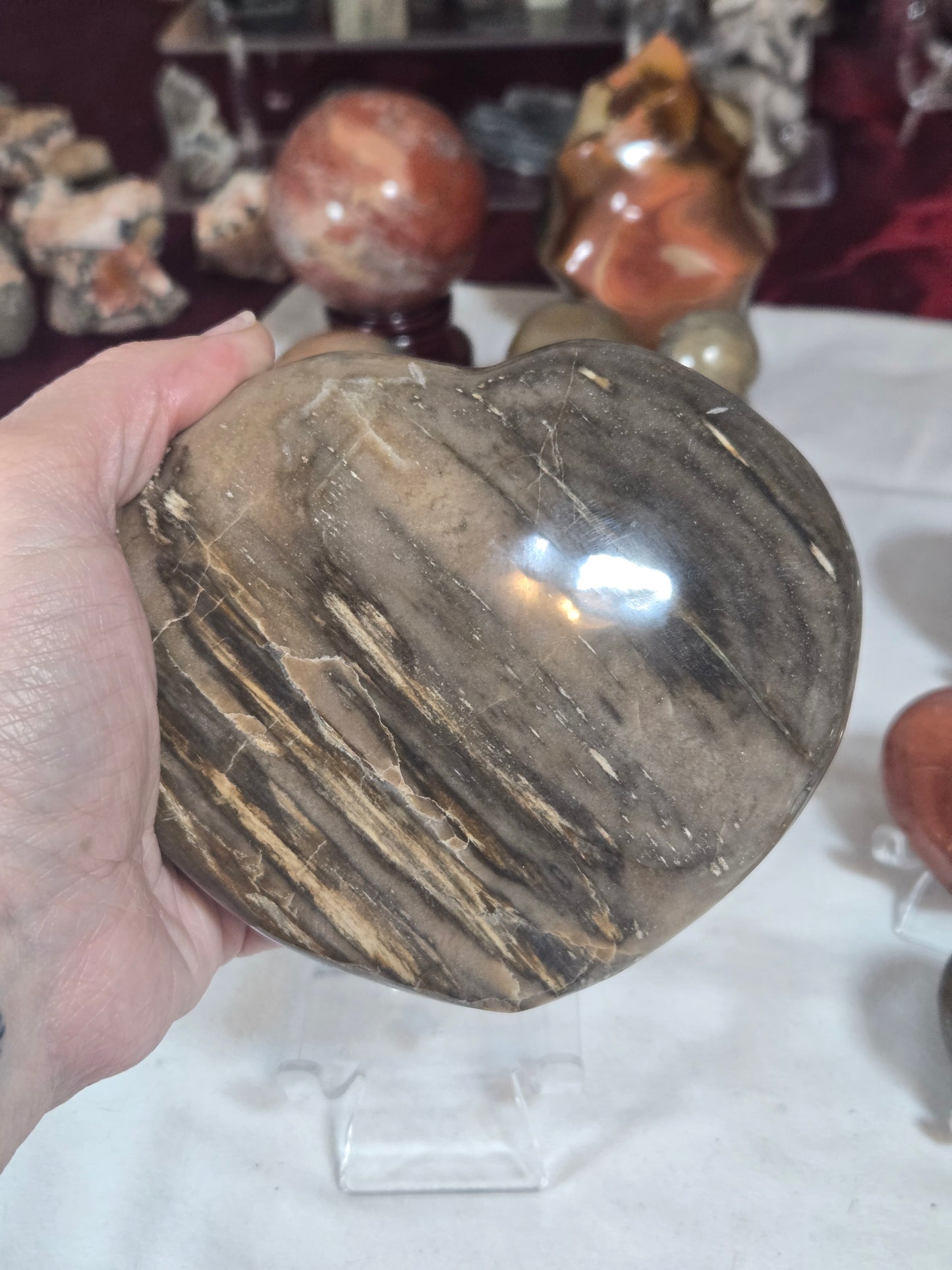 Polychrome Jasper