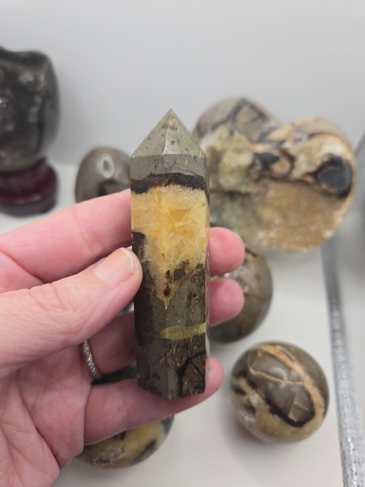 Septarian Collection