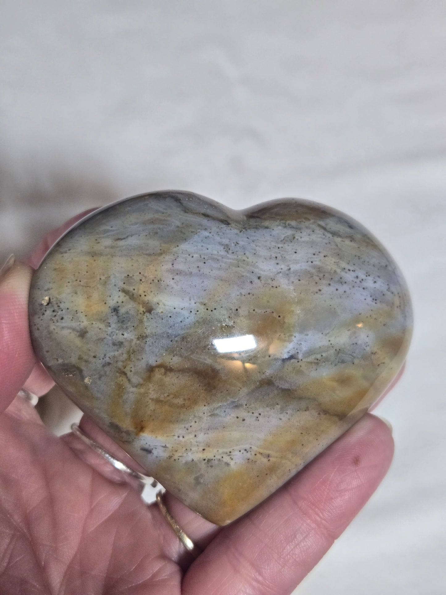 Polychrome Jasper