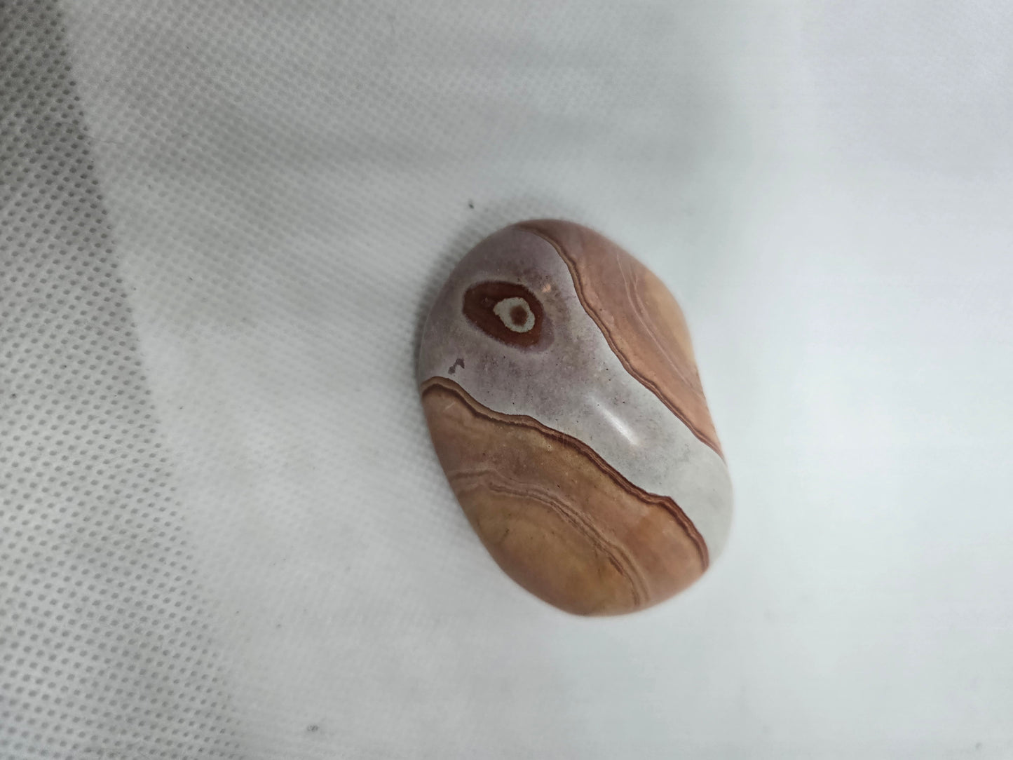 Pick Your Palm from the Garden