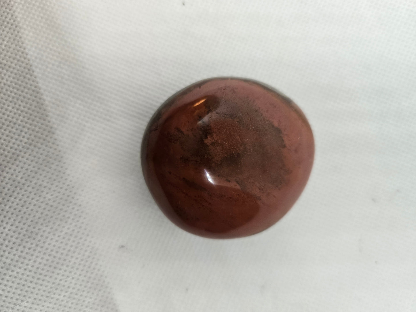 Pick Your Palm from the Garden