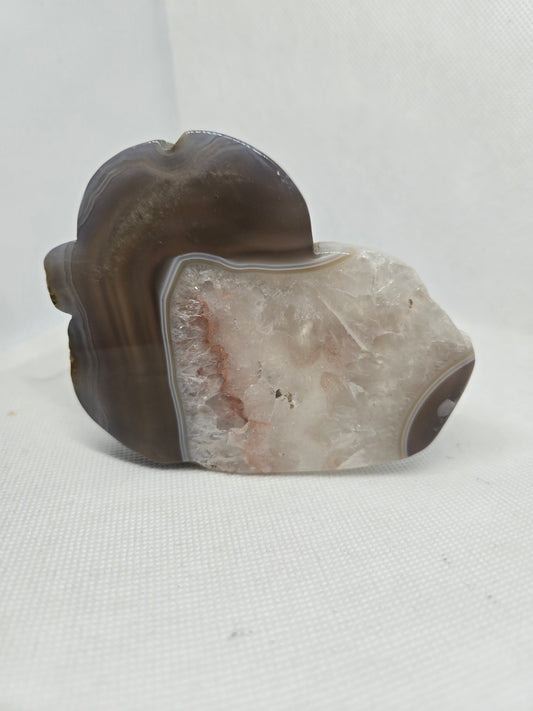 Large Agate Duck