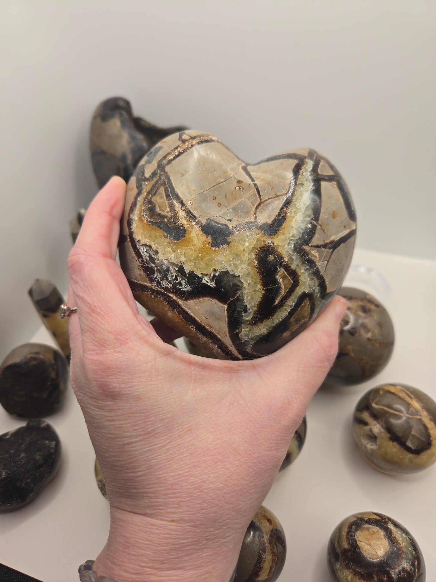 Septarian Collection