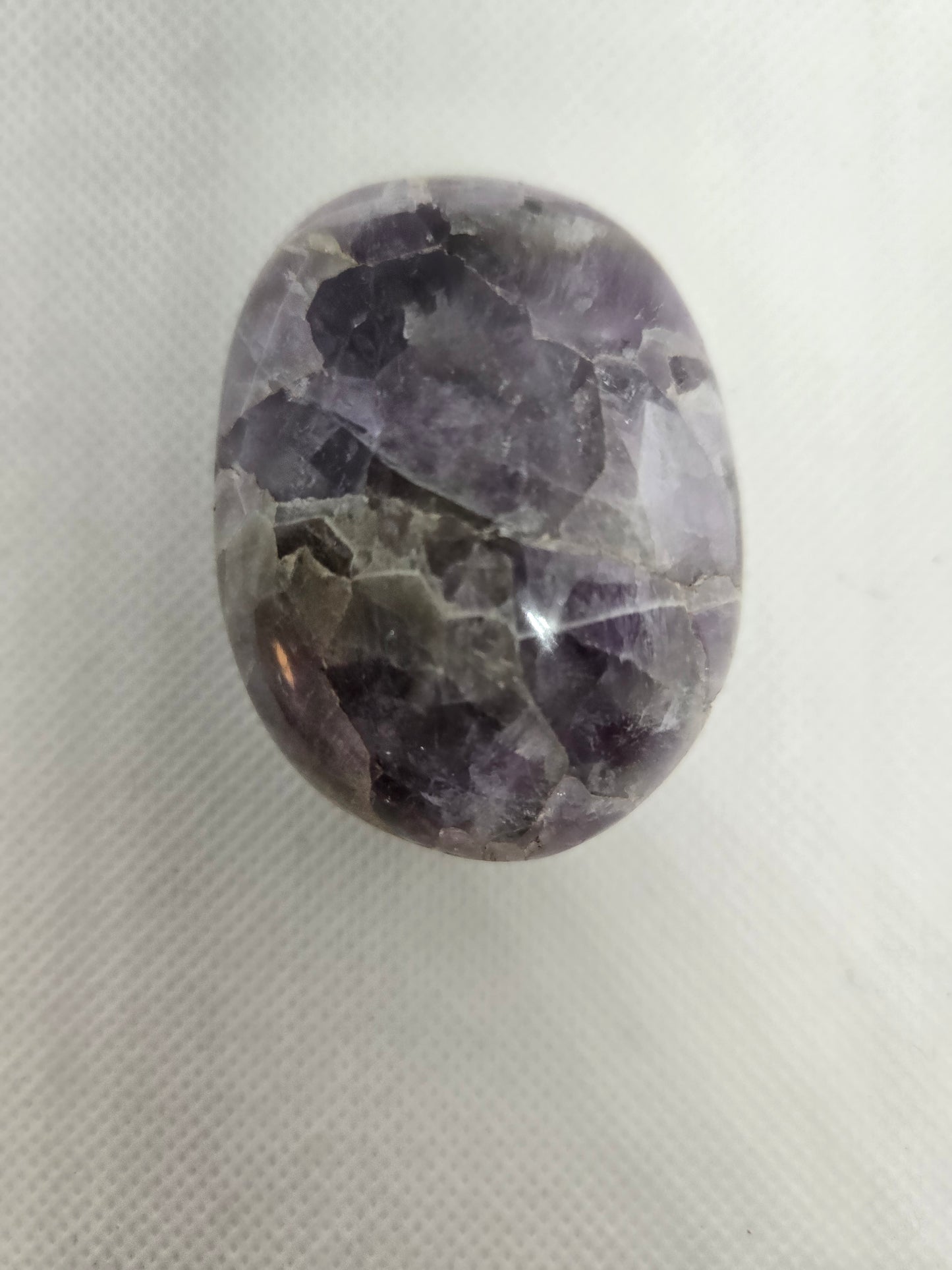 Pick Your Palm from the Garden