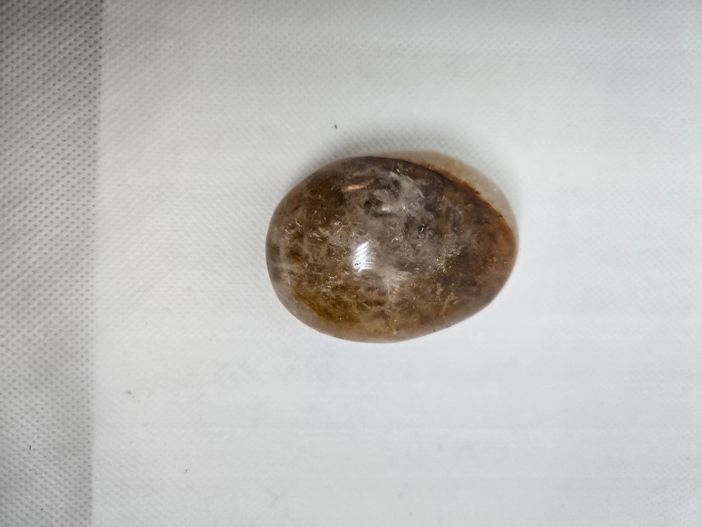 Pick Your Palm from the Garden