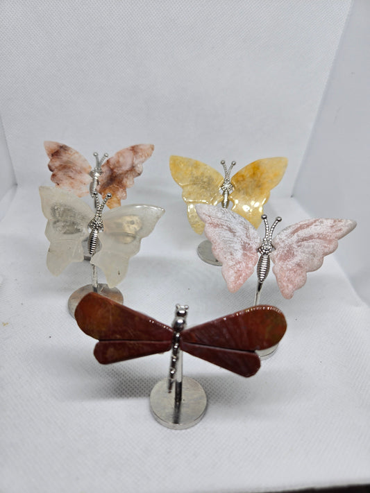 Butterflies and Dragon Fly