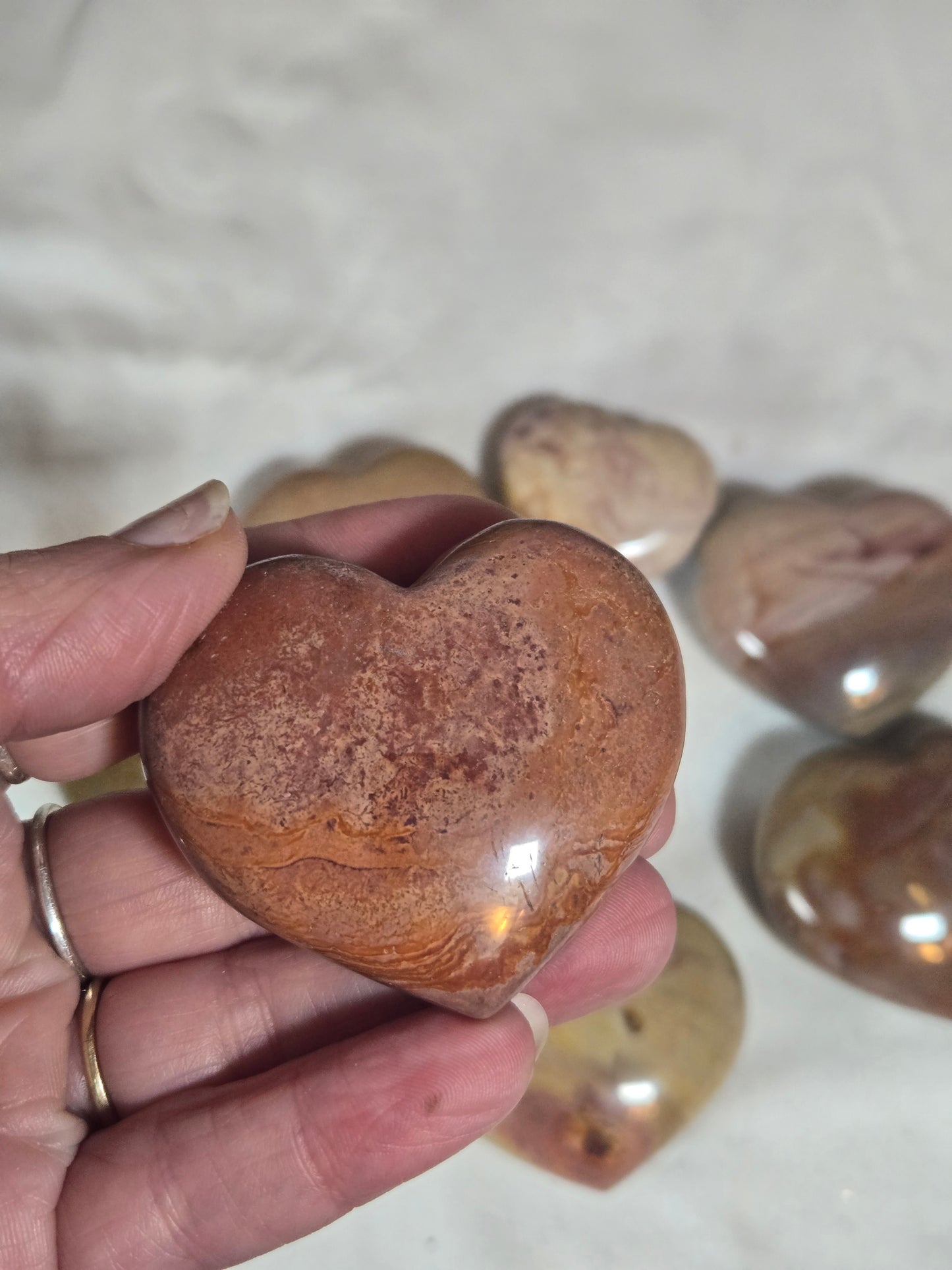 Polychrome Jasper