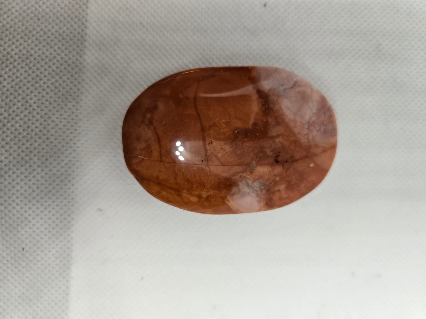 Pick Your Palm from the Garden