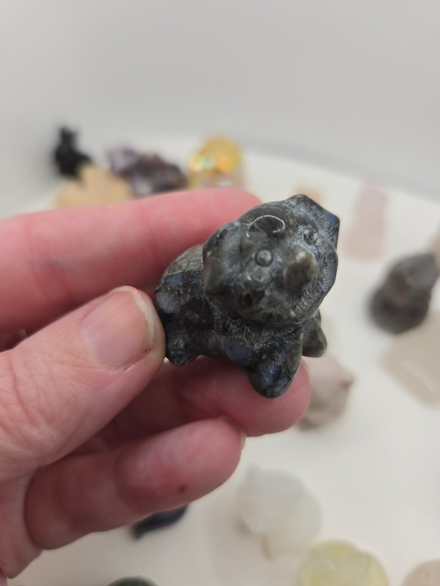 Small Creature Carvings