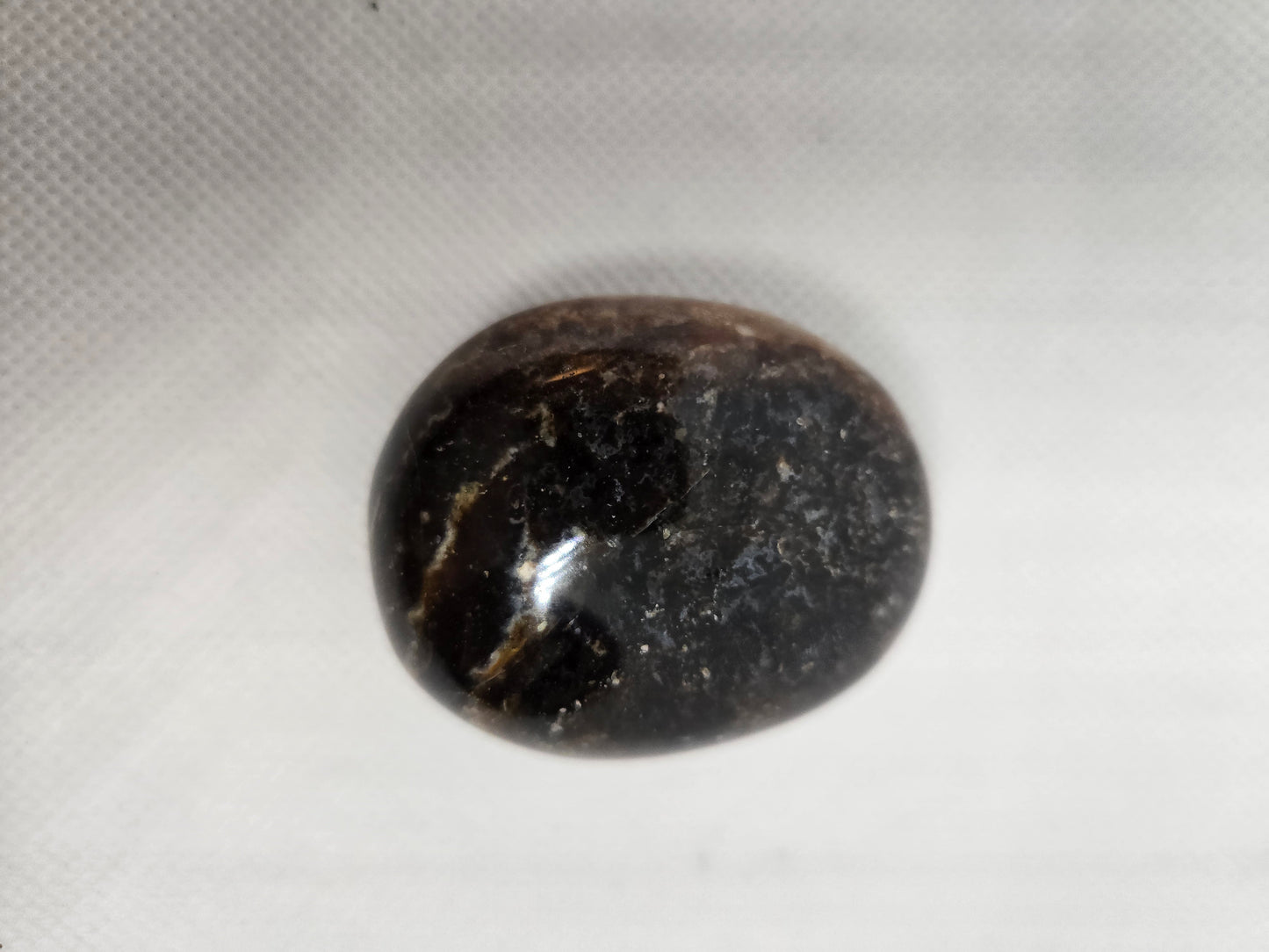 Pick Your Palm from the Garden