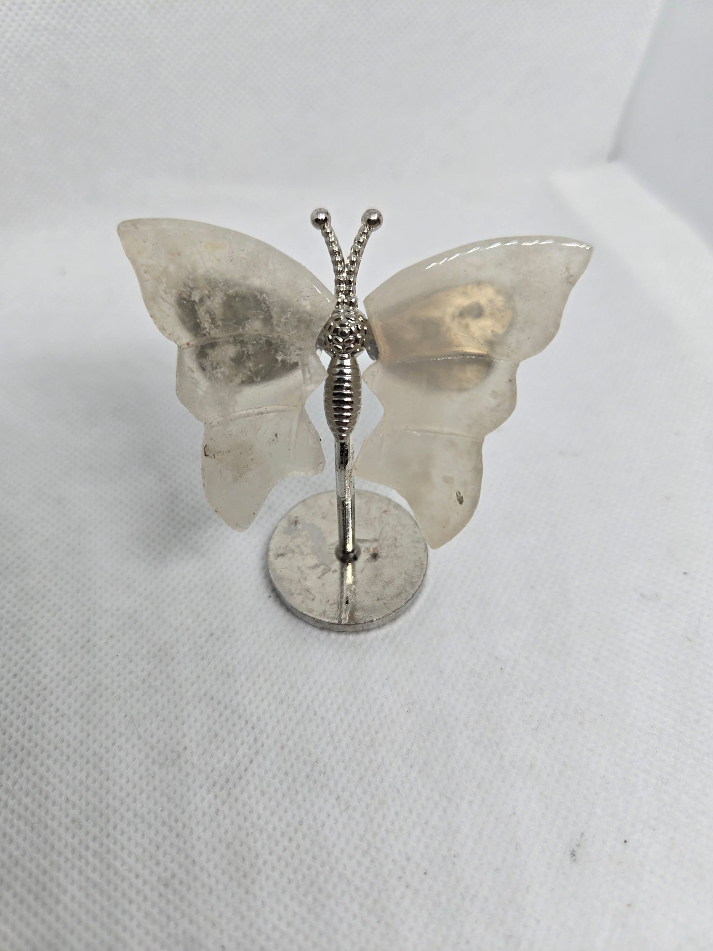 Butterflies and Dragon Fly