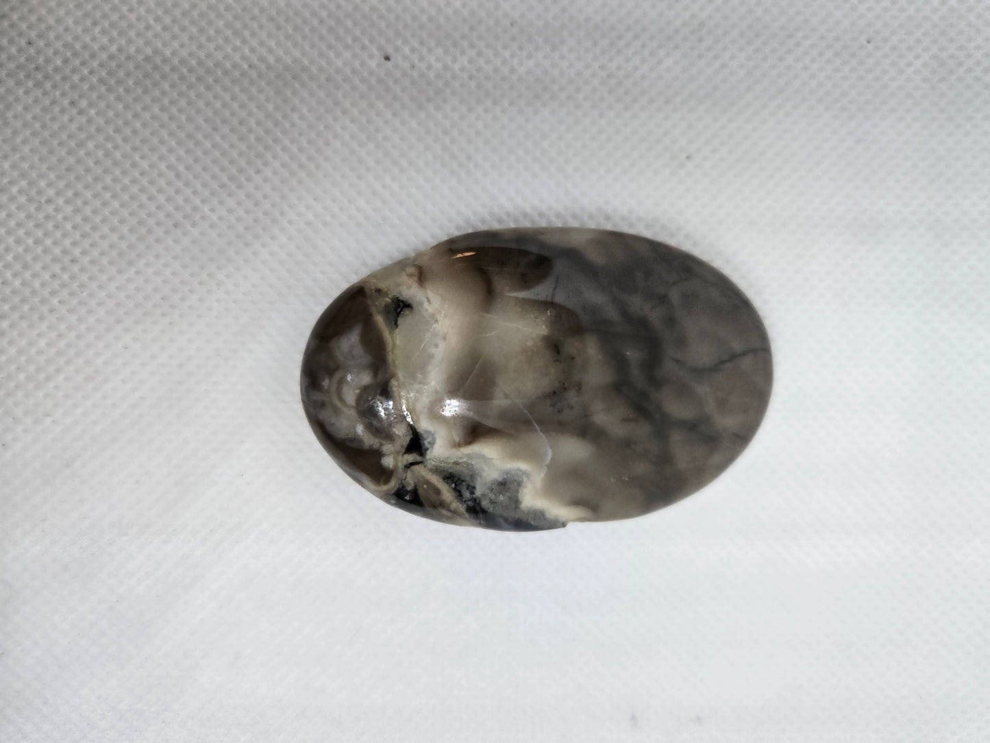 Pick Your Palm from the Garden