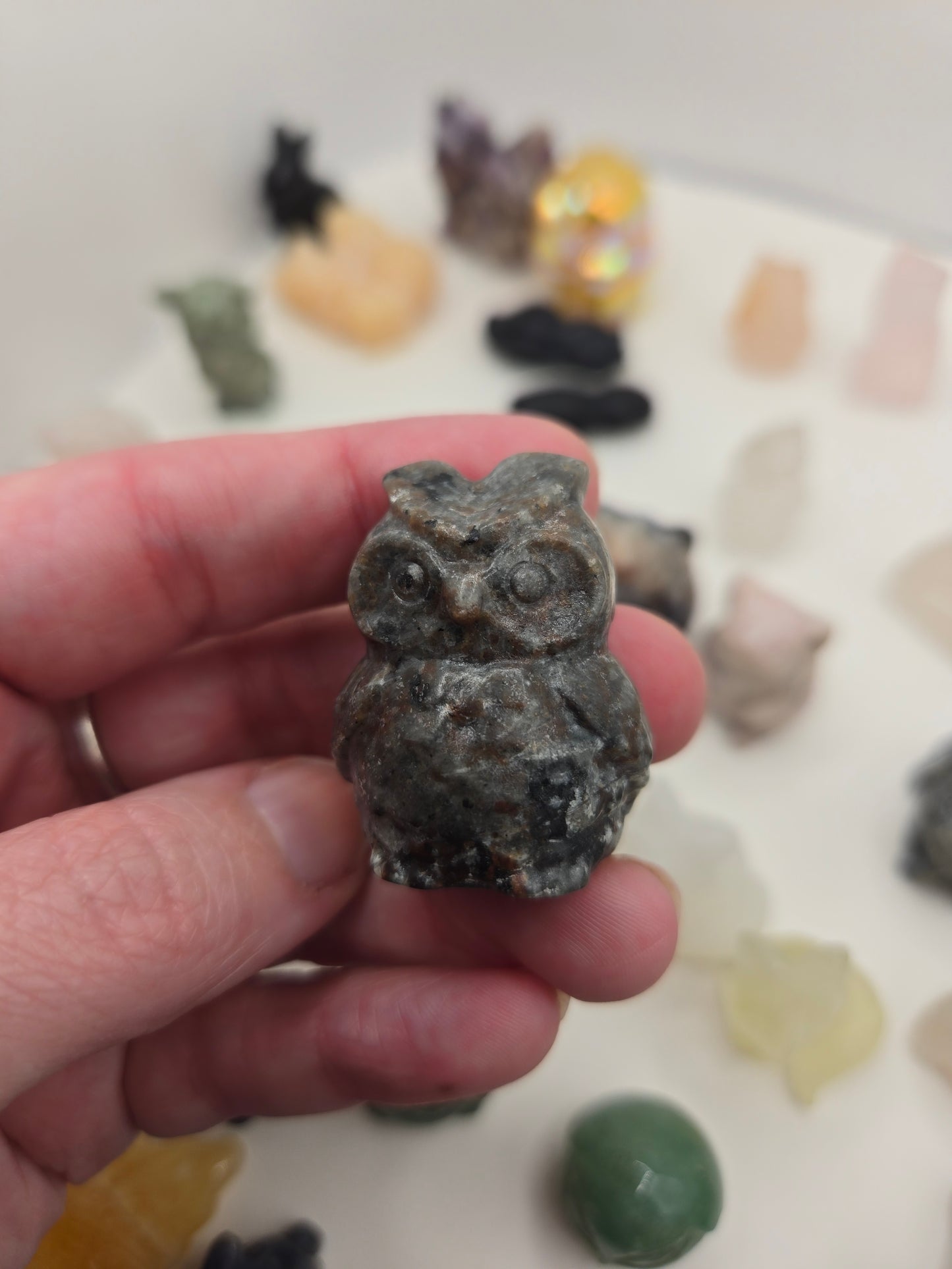 Small Creature Carvings