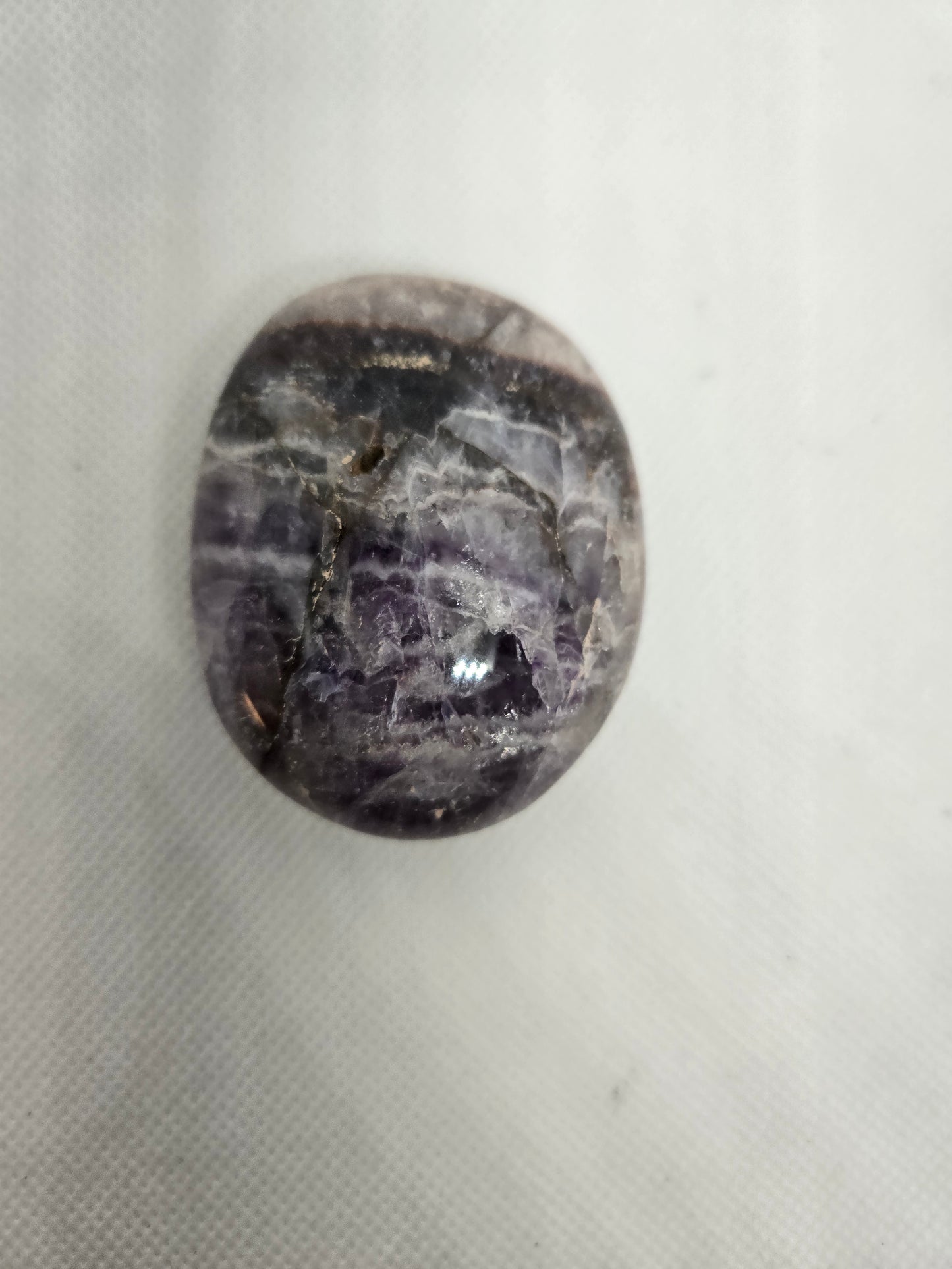 Pick Your Palm from the Garden