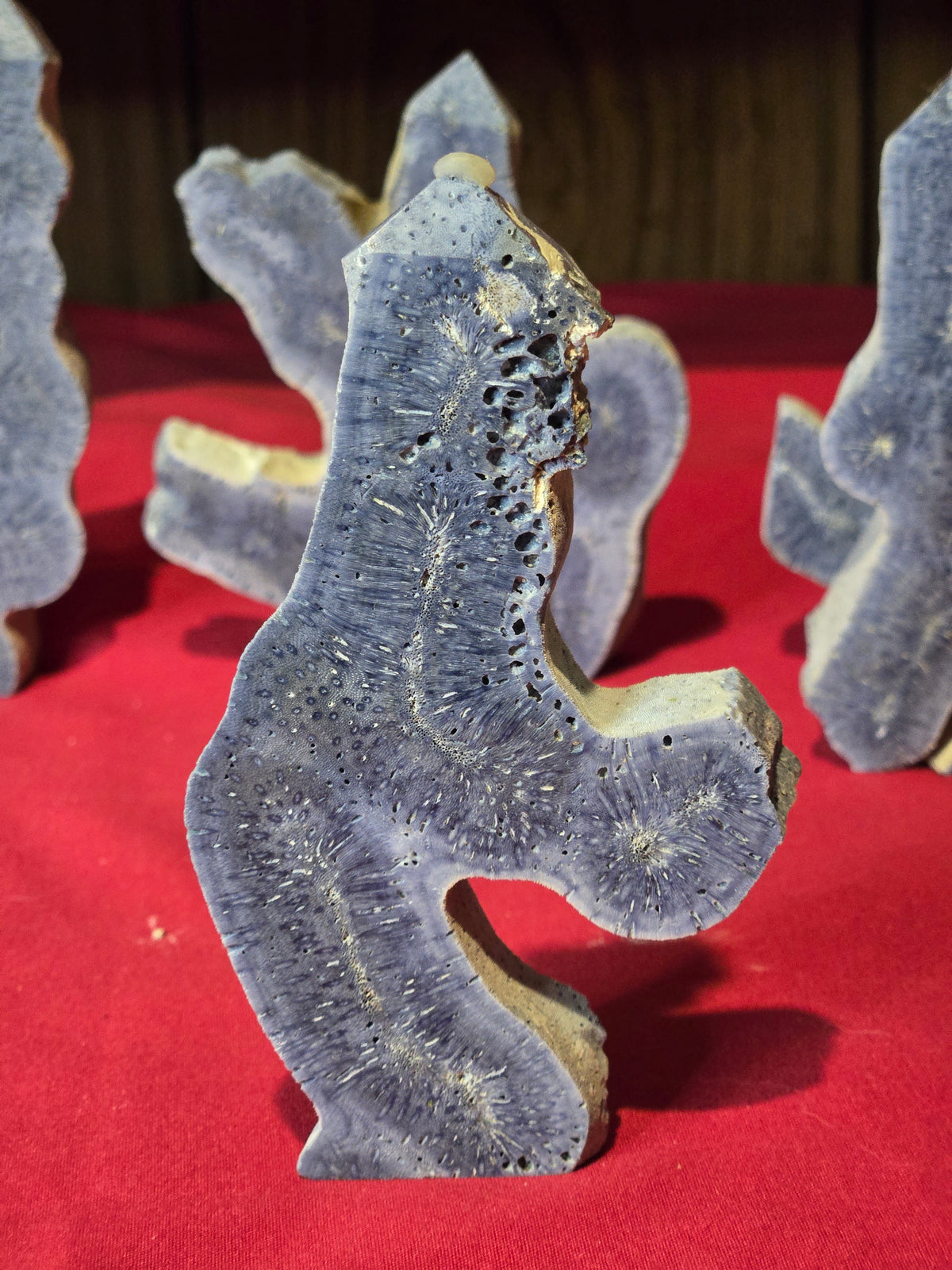 Blue Coral Fossil Towers