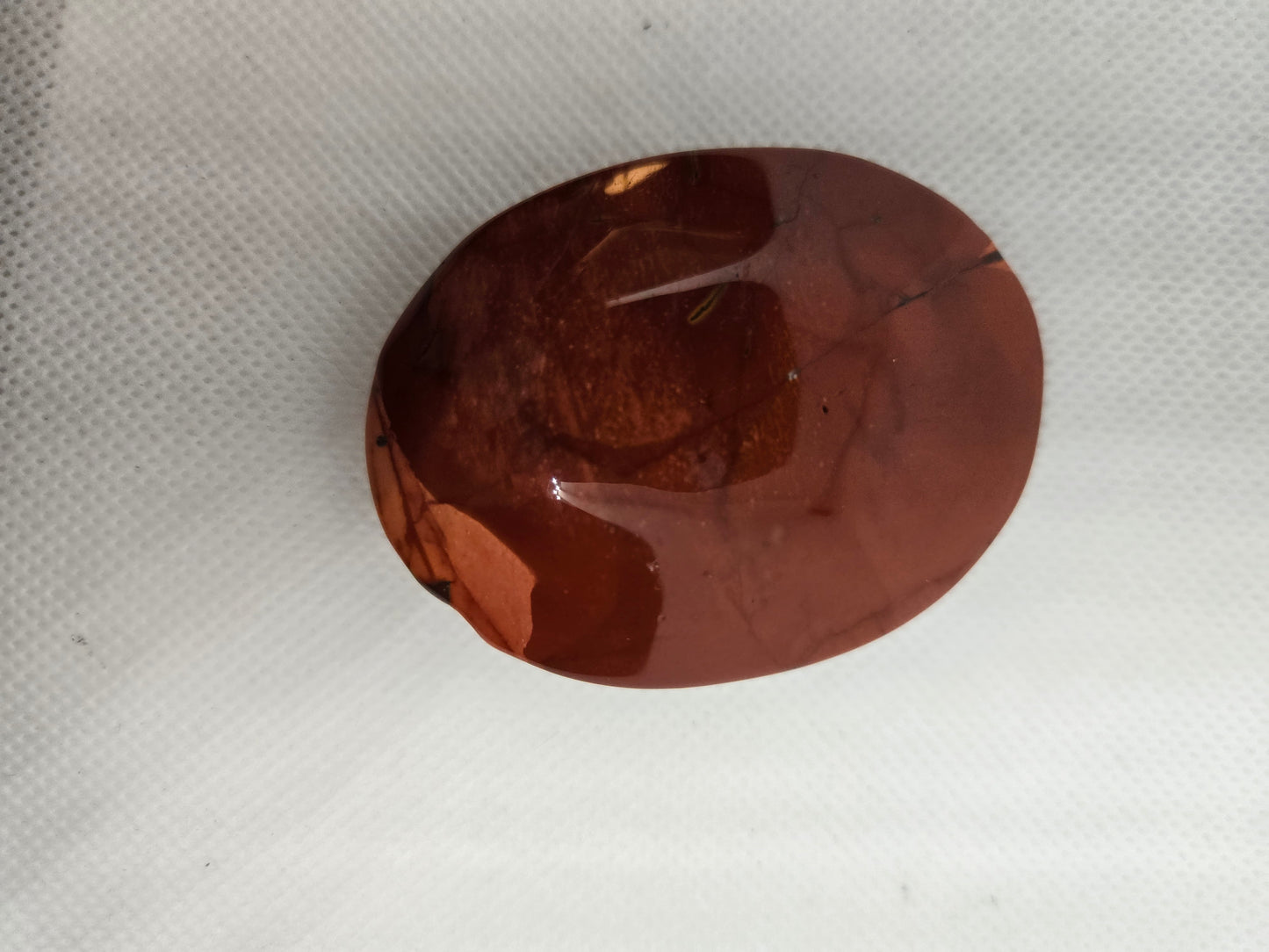 Pick Your Palm from the Garden