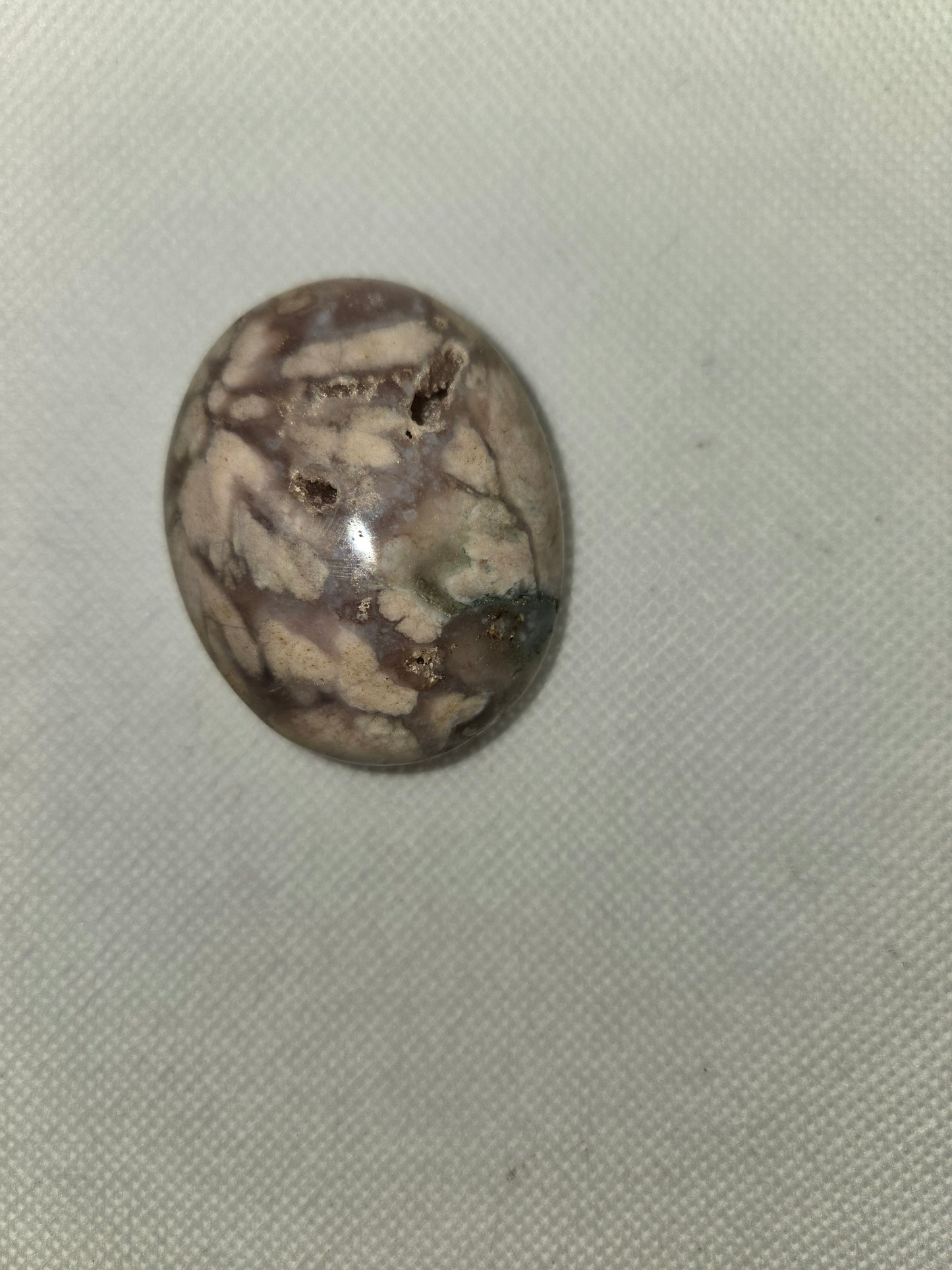 Pick Your Palm from the Garden