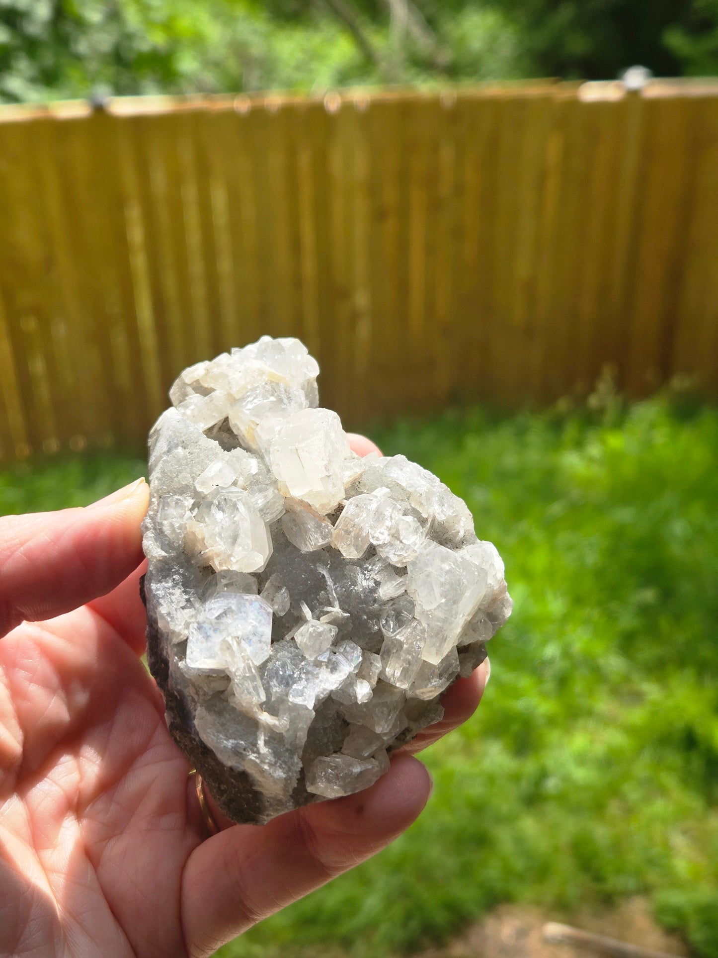 Apopholite Large