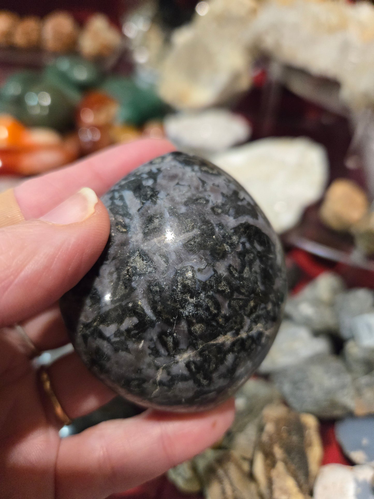 Indigo Gabbro