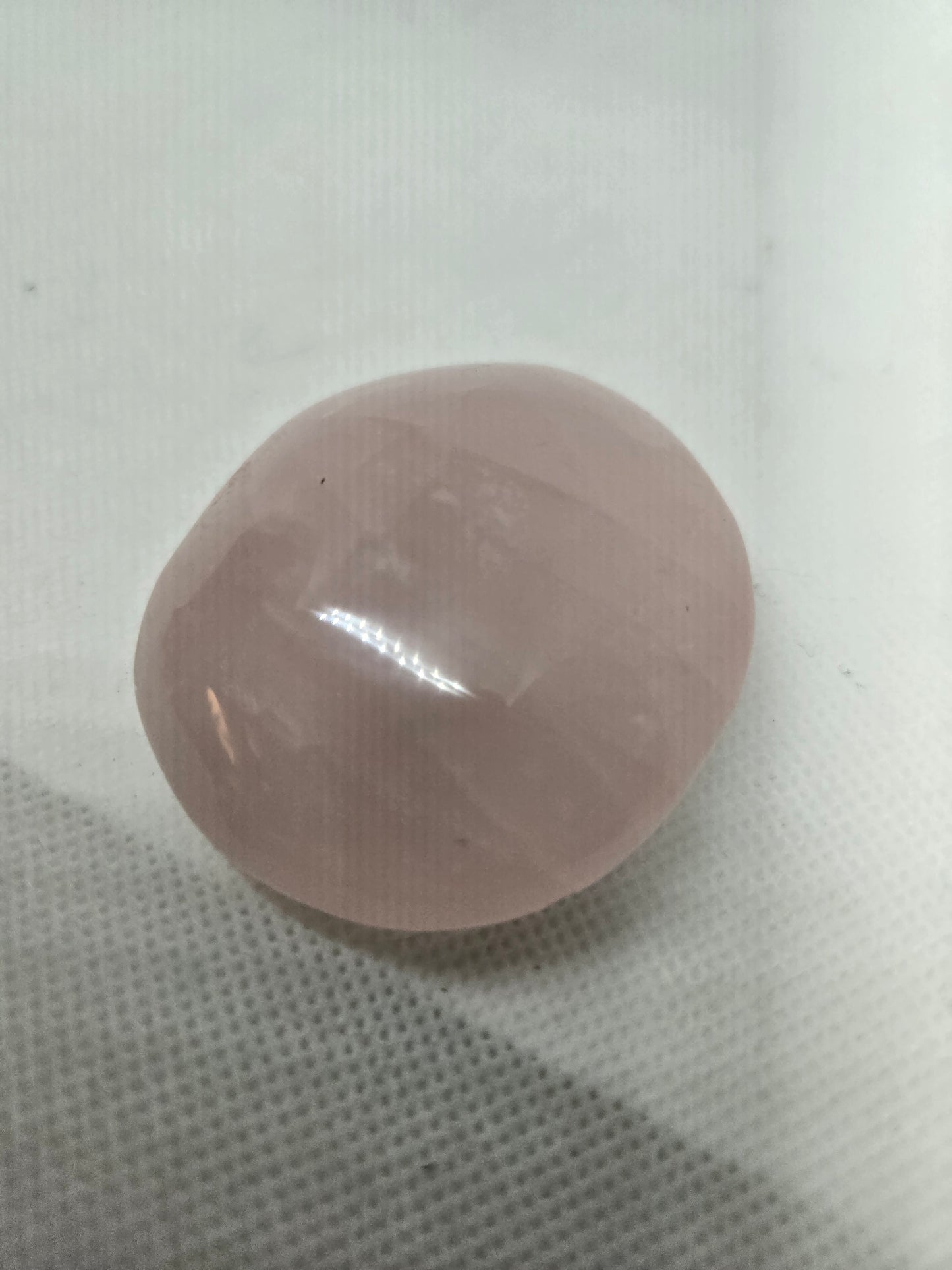 Pick Your Palm from the Garden