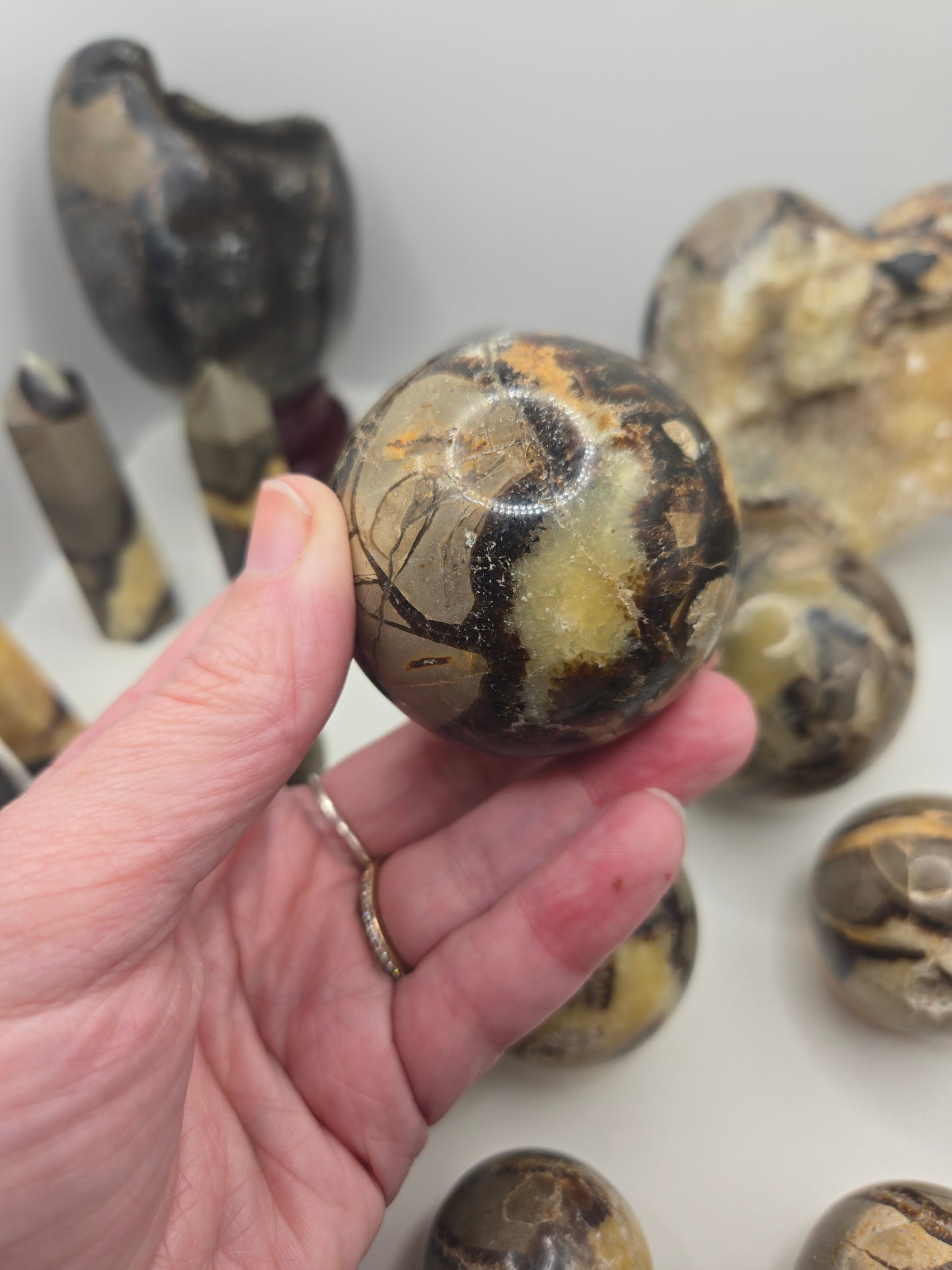 Septarian Collection