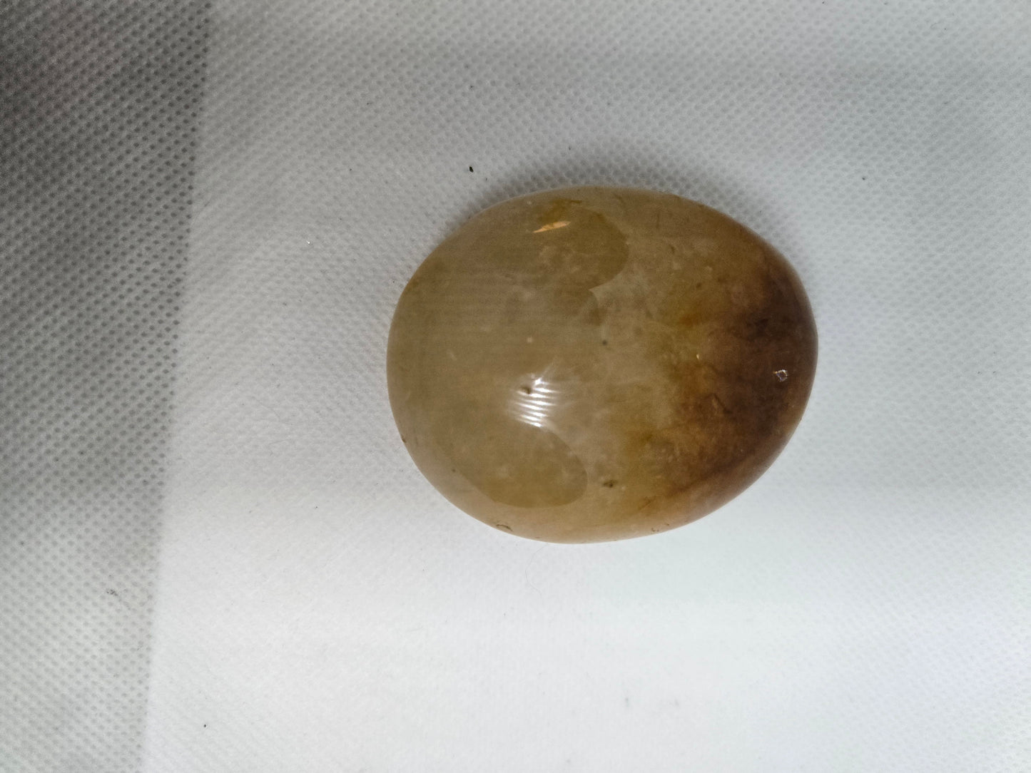 Pick Your Palm from the Garden