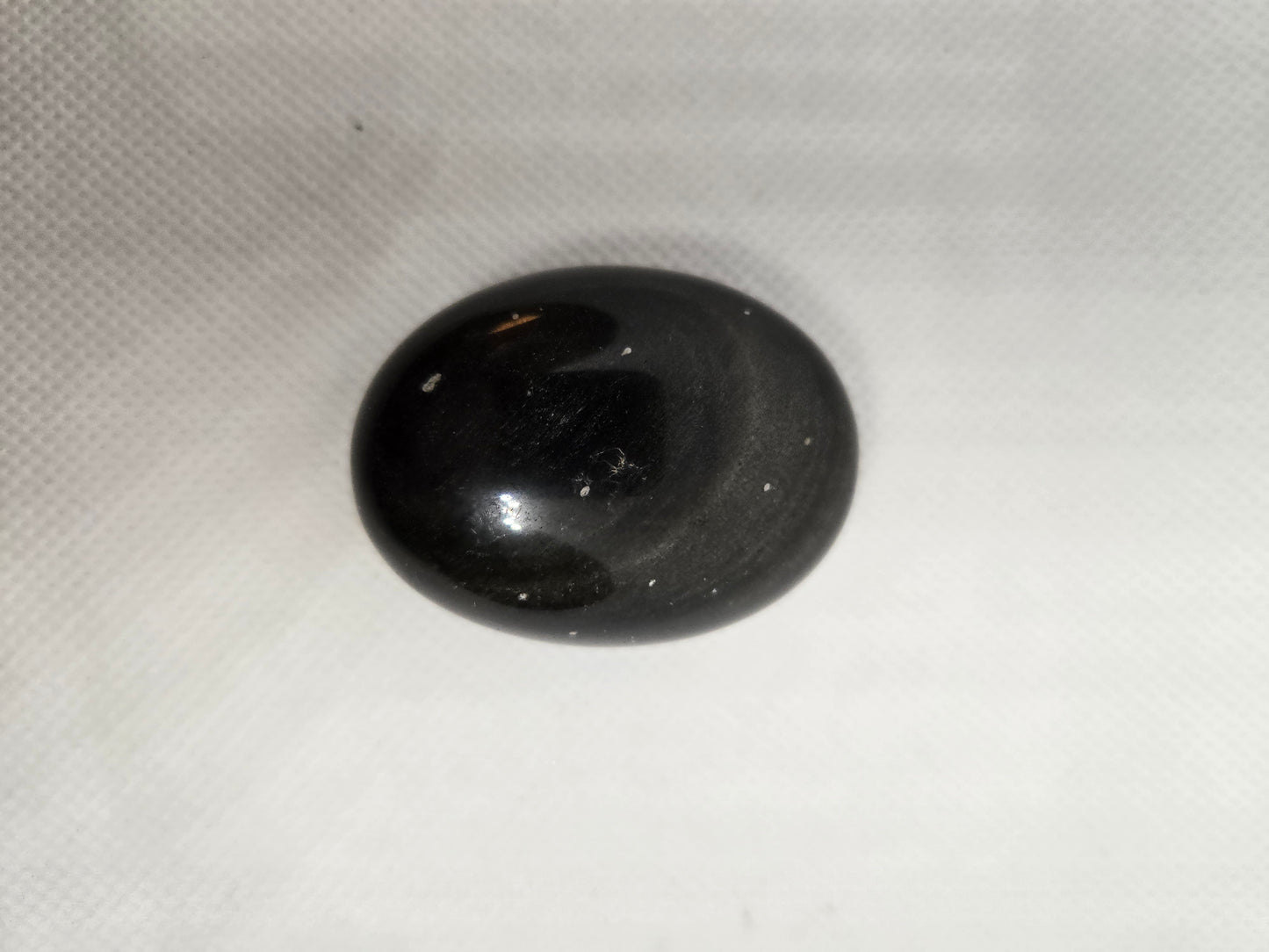 Pick Your Palm from the Garden