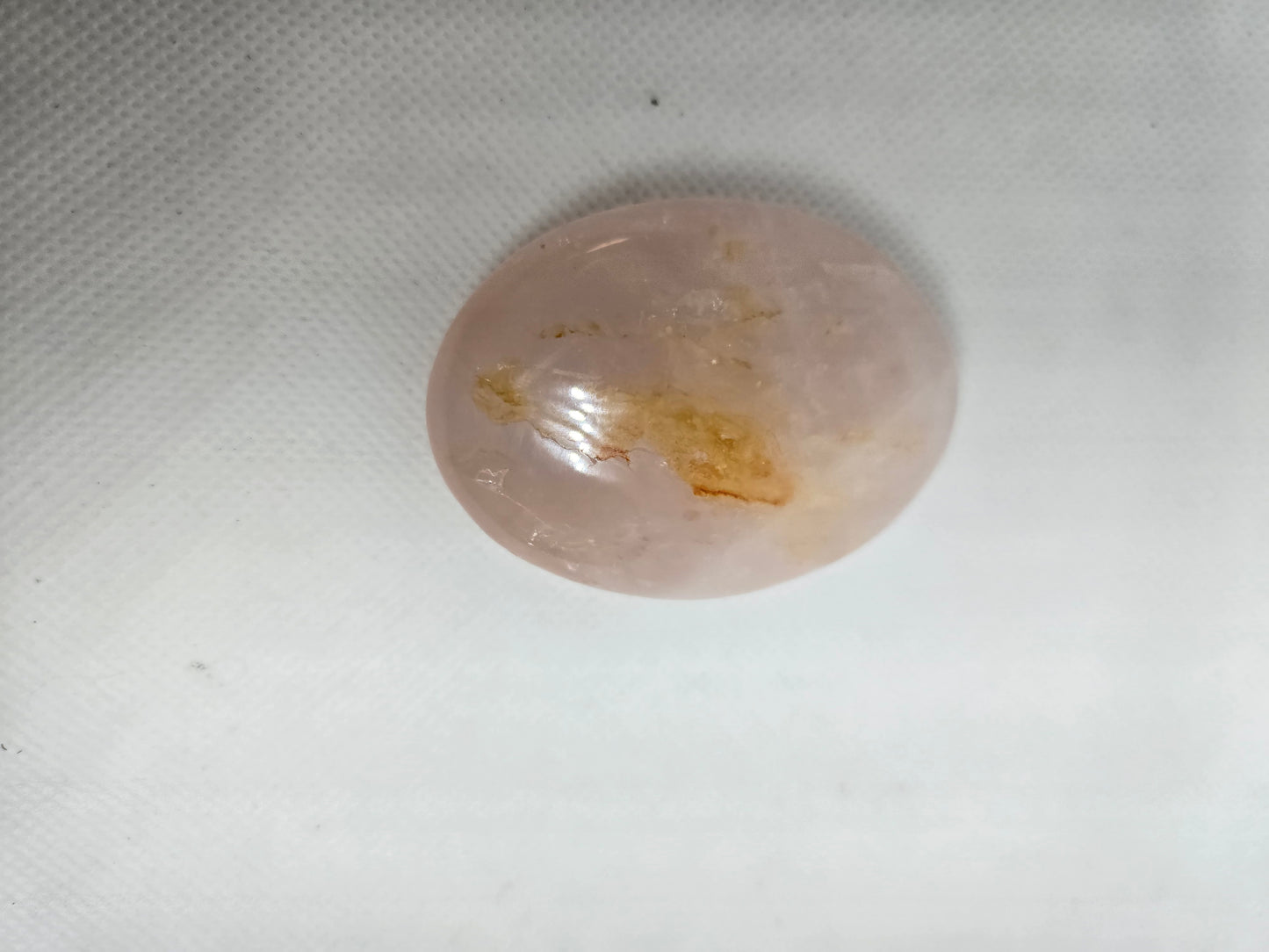 Pick Your Palm from the Garden