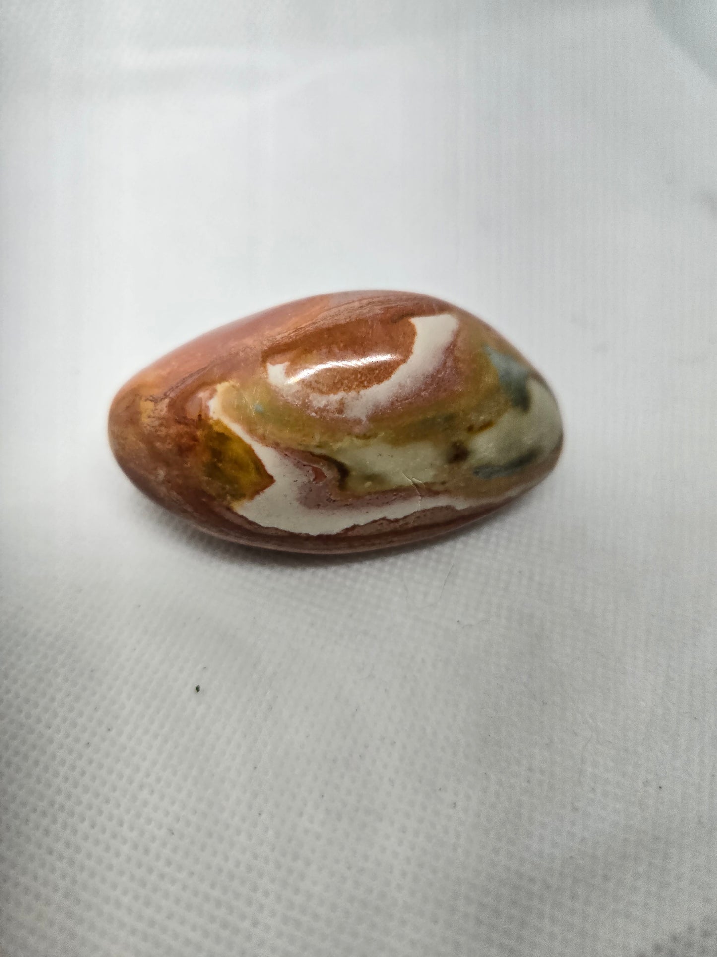 Pick Your Palm from the Garden