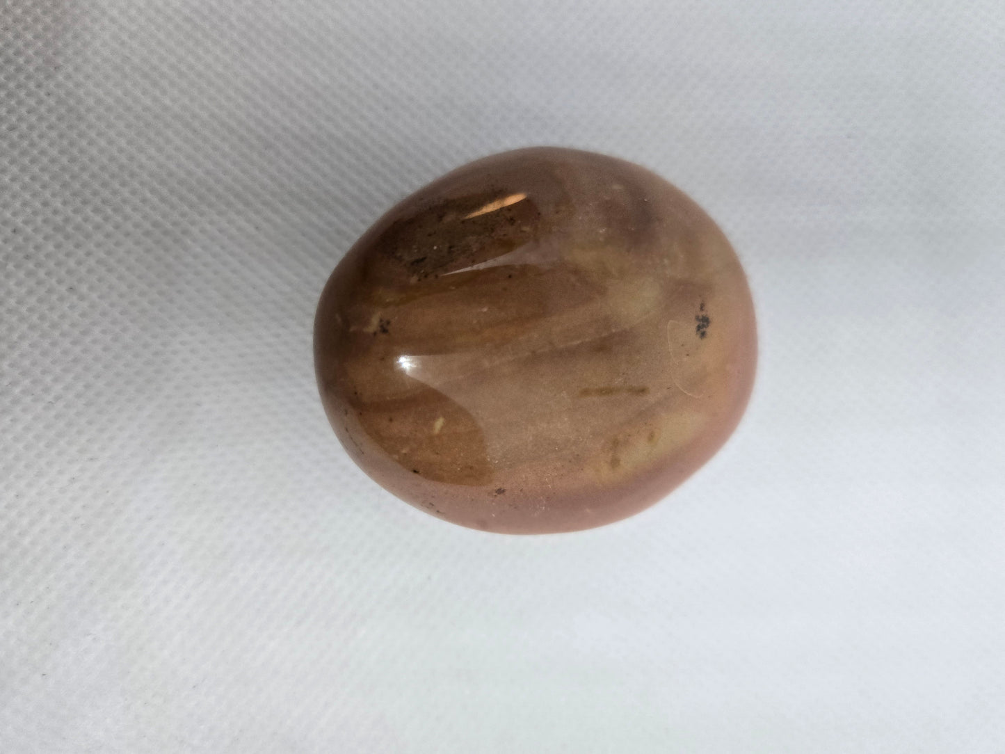 Pick Your Palm from the Garden