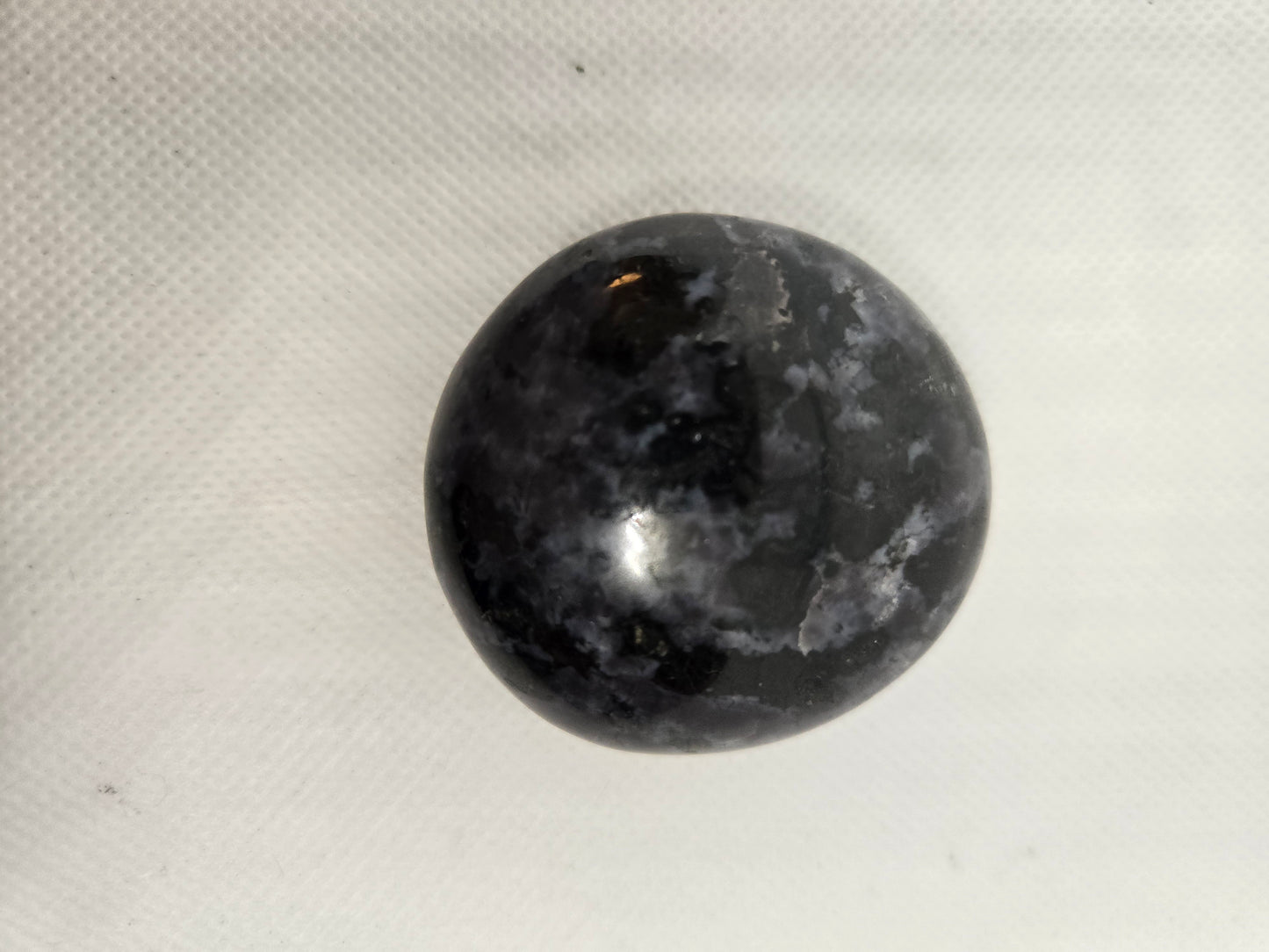 Pick Your Palm from the Garden