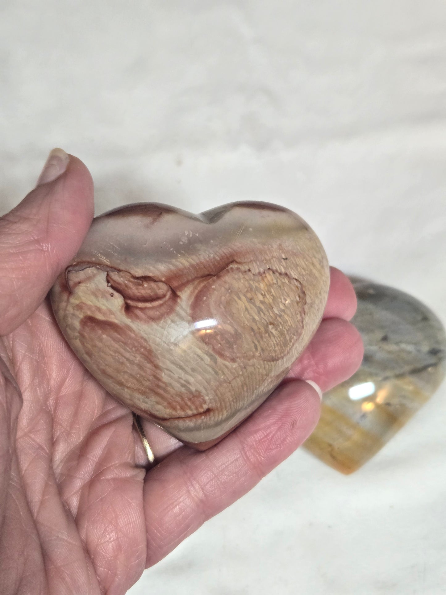 Polychrome Jasper
