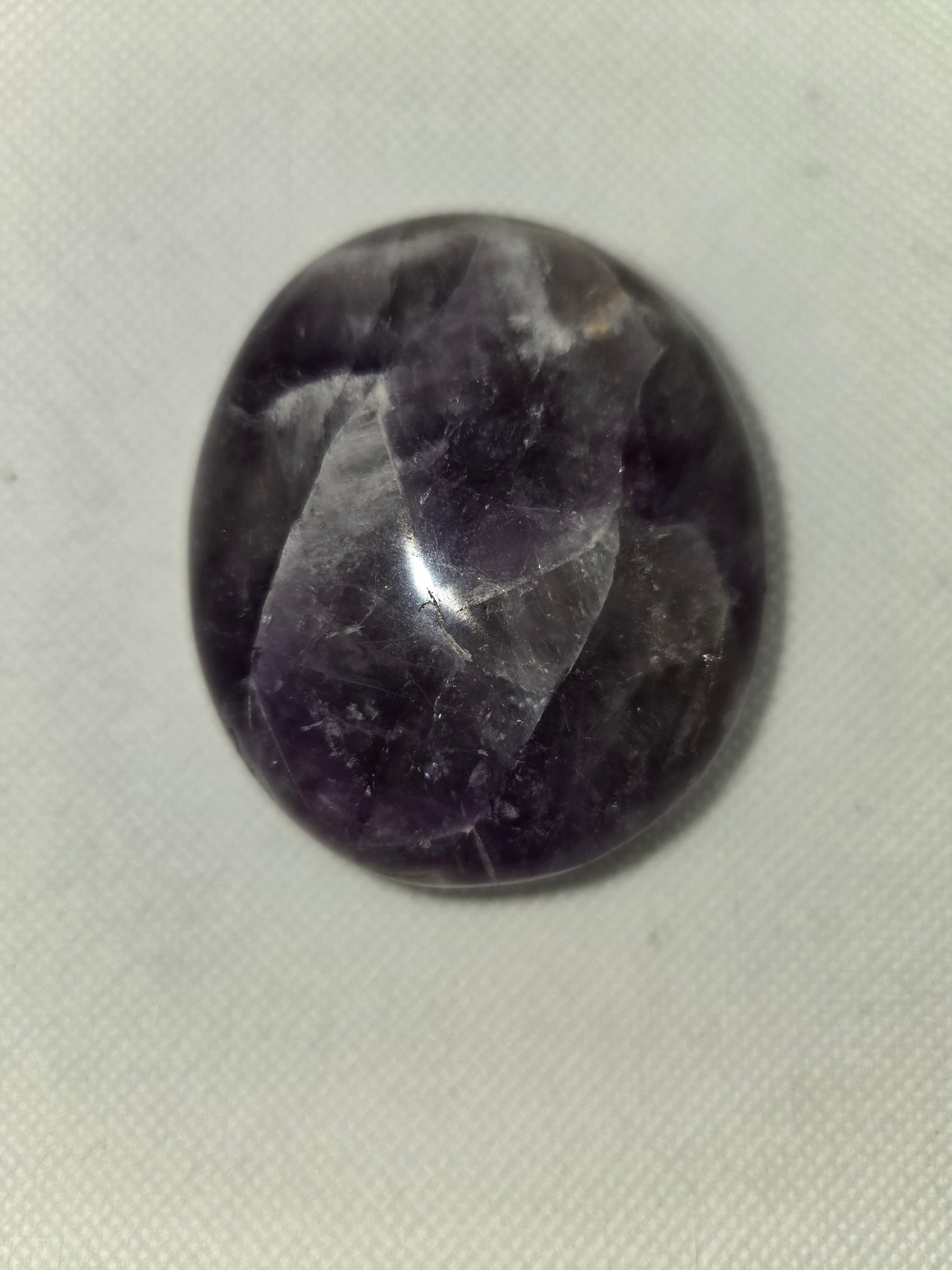 Pick Your Palm from the Garden