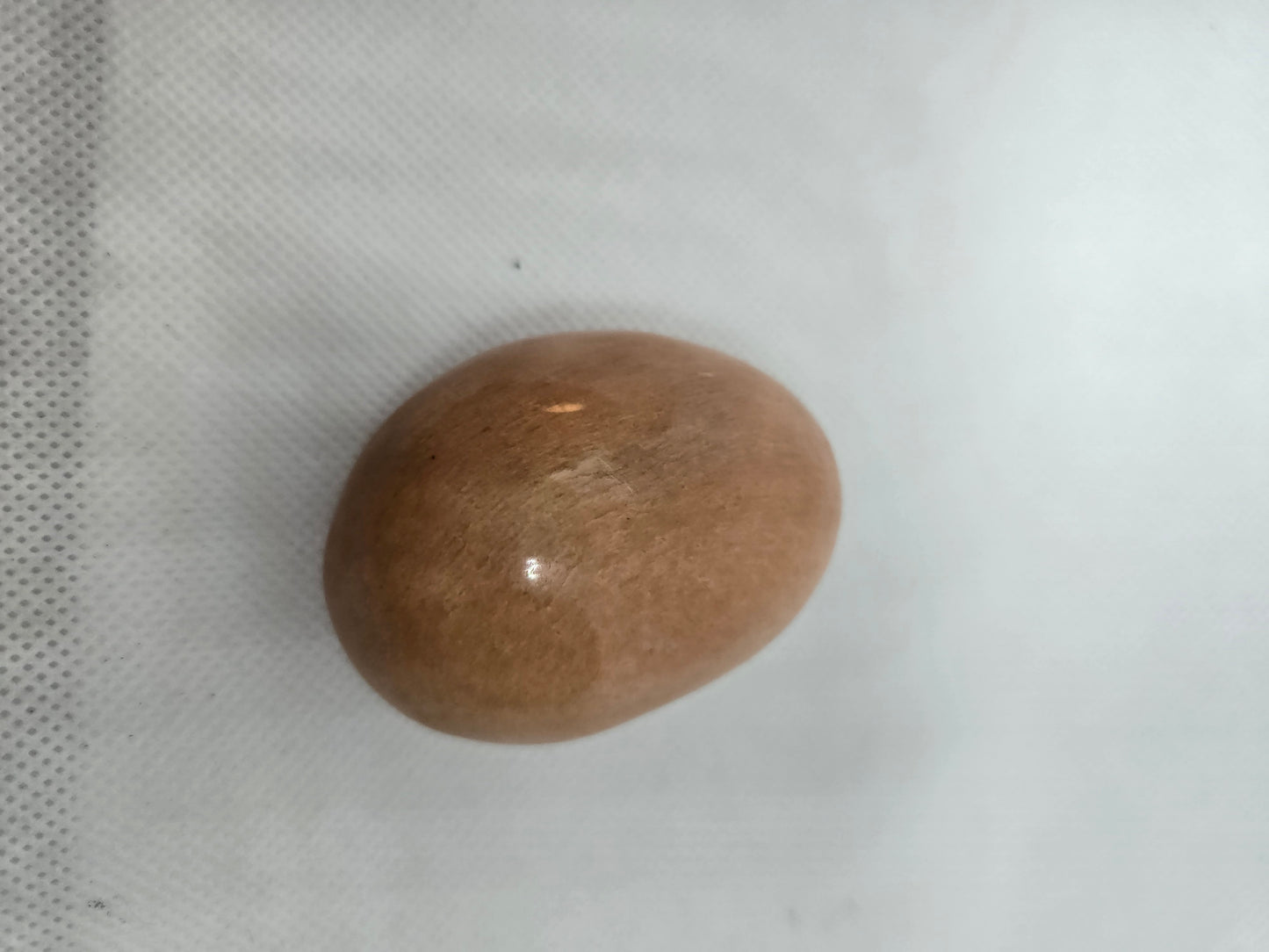 Pick Your Palm from the Garden