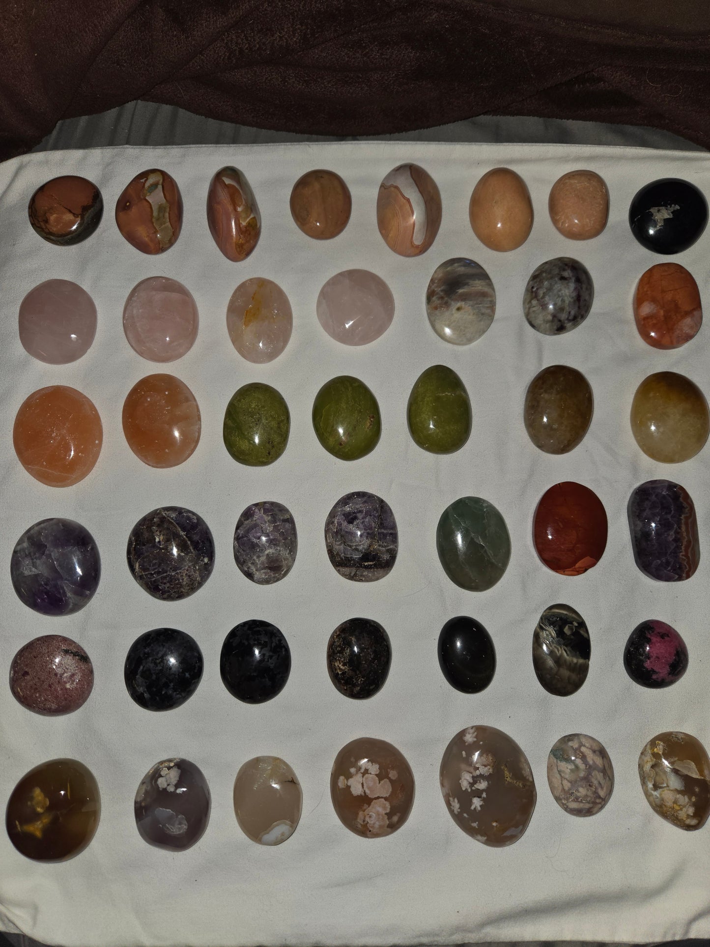 Pick Your Palm from the Garden