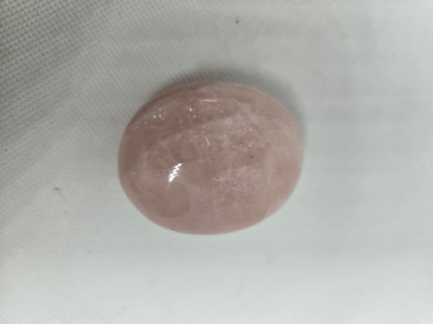 Pick Your Palm from the Garden