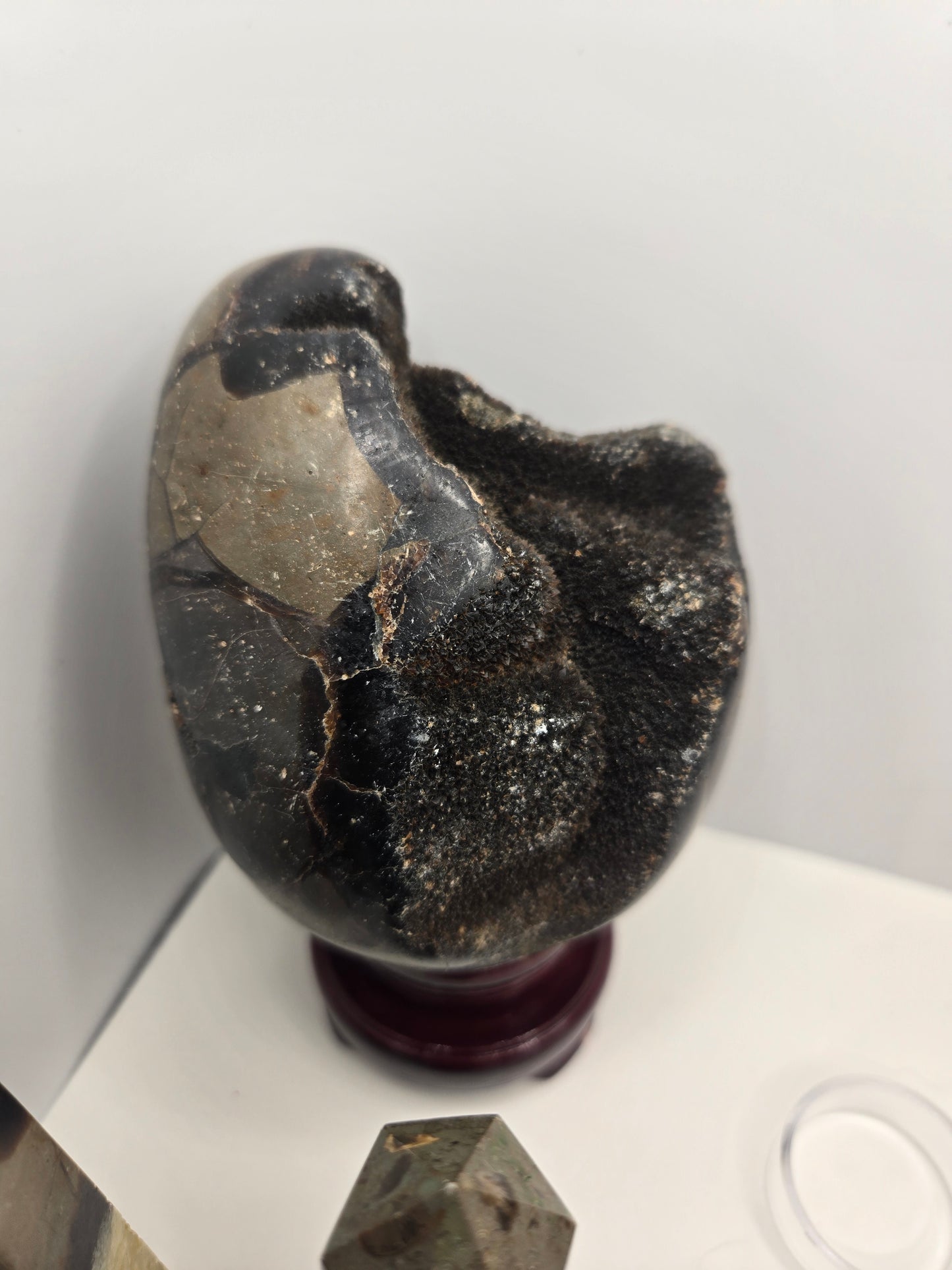 Septarian Collection