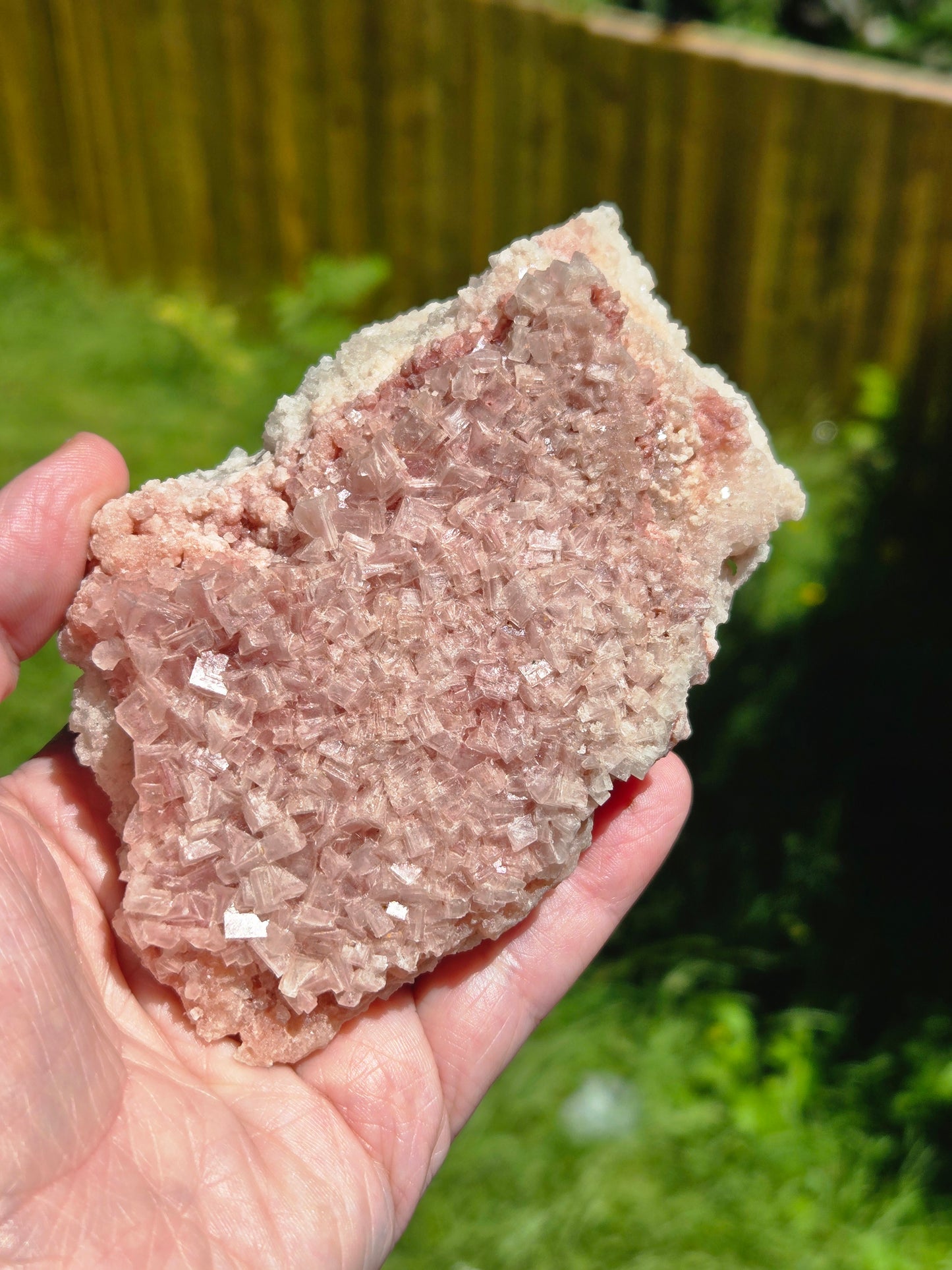 Pink Halite